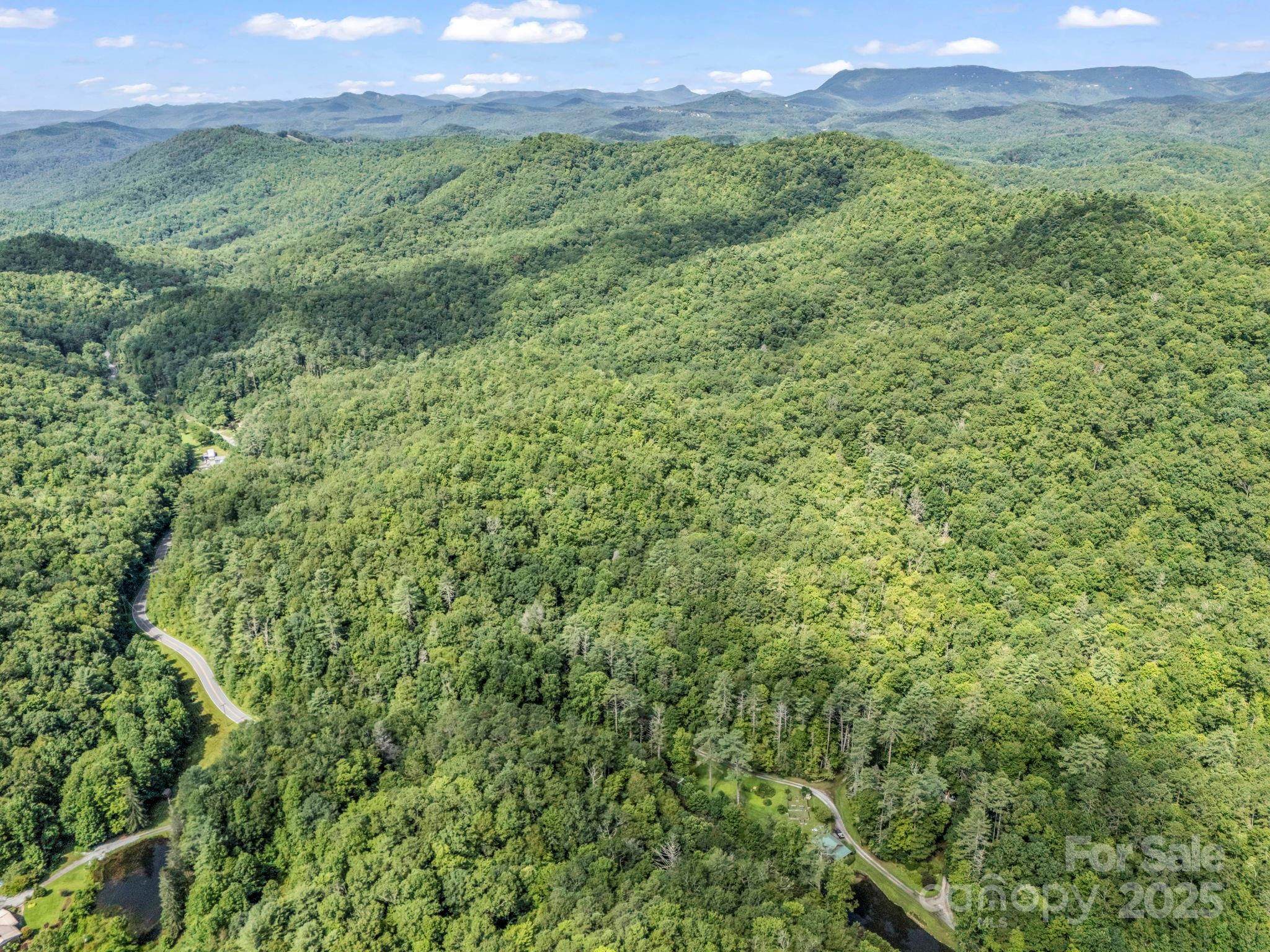 Tbd Frozen Creek Road Brevard NC 28712