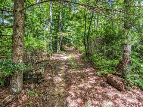 Tbd Frozen Creek Road Brevard NC 28712