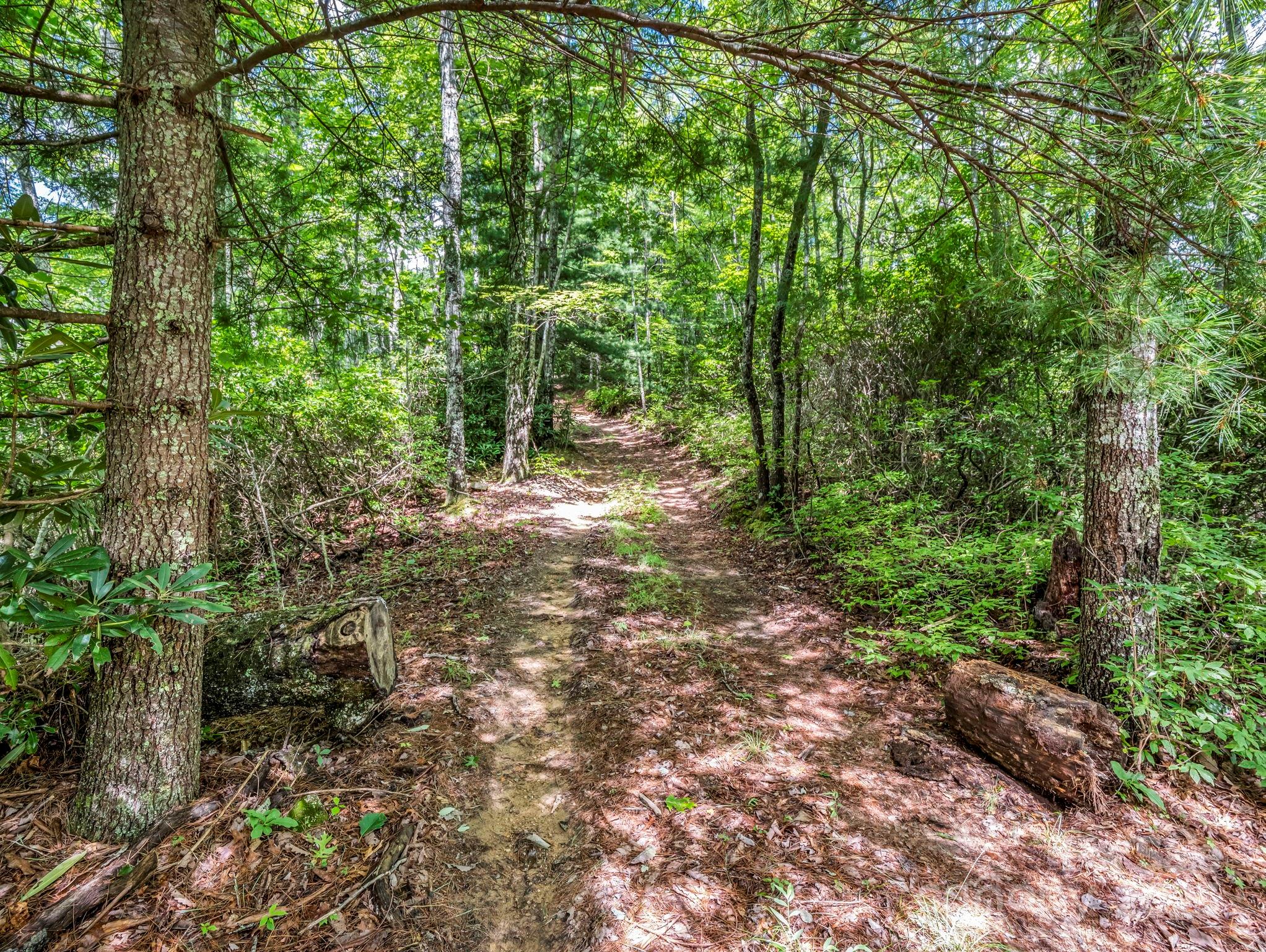 Tbd Frozen Creek Road Brevard NC 28712