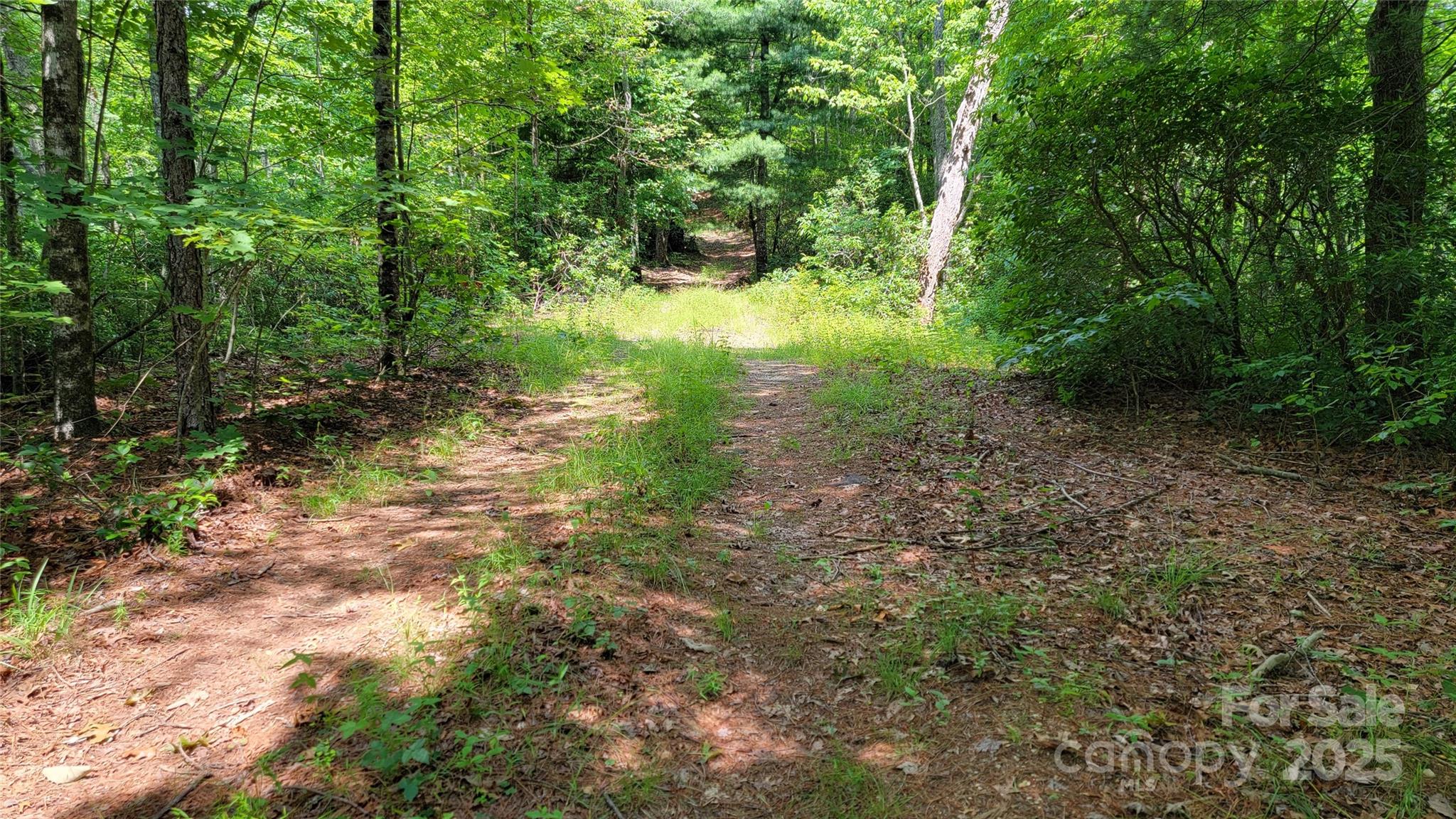 Tbd Frozen Creek Road Brevard NC 28712