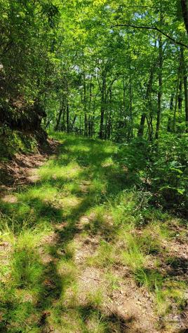 Tbd Frozen Creek Road Brevard NC 28712