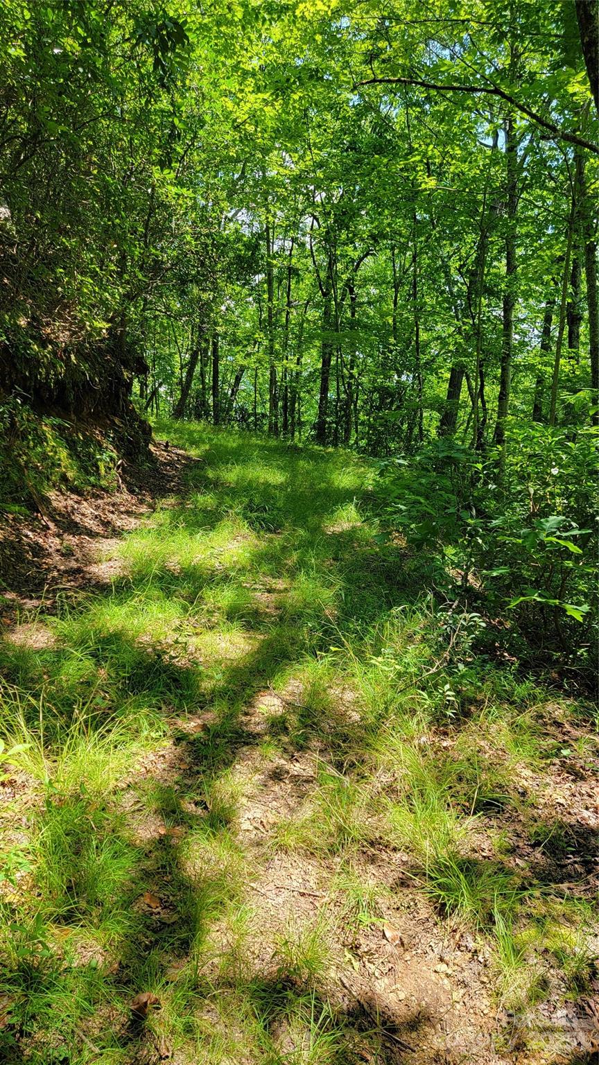 Tbd Frozen Creek Road Brevard NC 28712