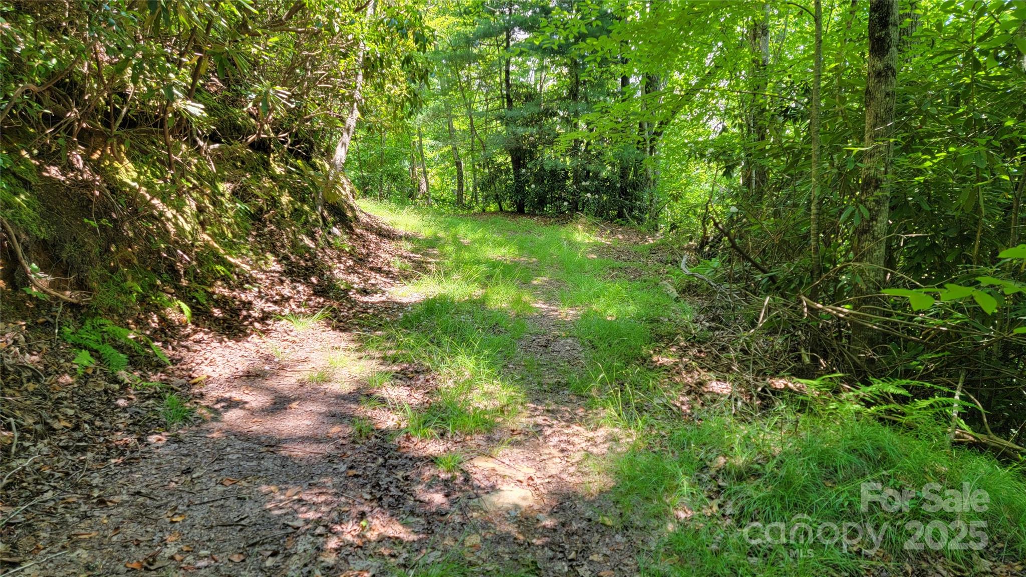 Tbd Frozen Creek Road Brevard NC 28712