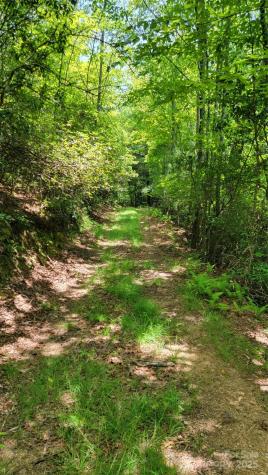 Tbd Frozen Creek Road Brevard NC 28712