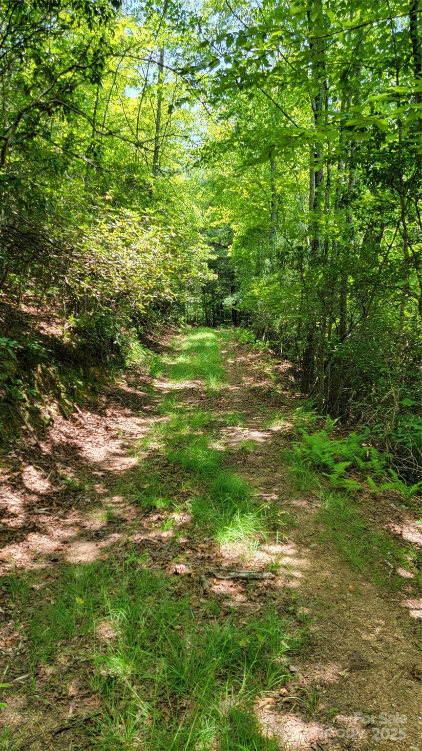 Tbd Frozen Creek Road Brevard NC 28712