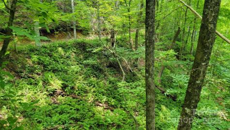 Tbd Frozen Creek Road Brevard NC 28712