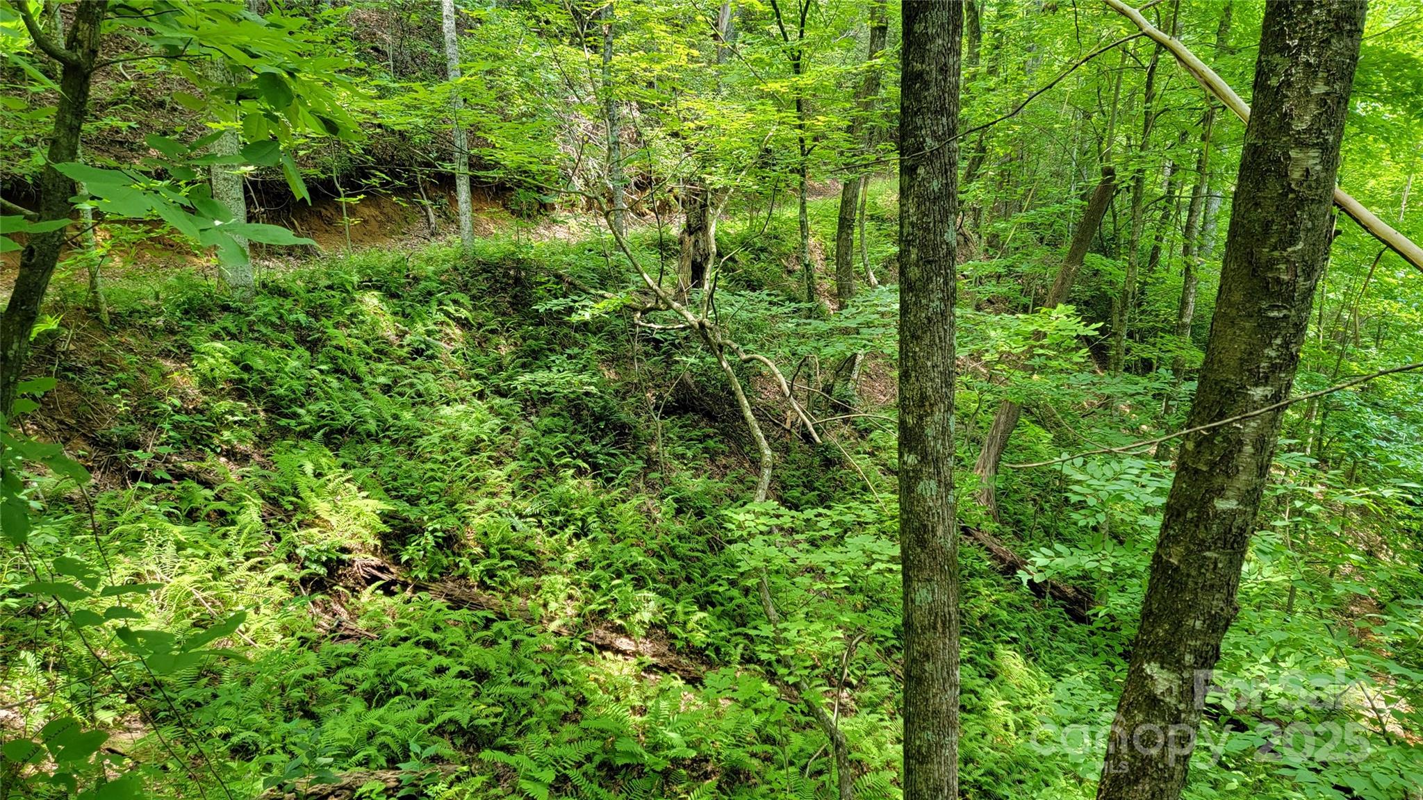 Tbd Frozen Creek Road Brevard NC 28712