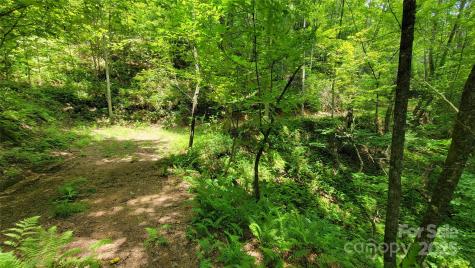 Tbd Frozen Creek Road Brevard NC 28712