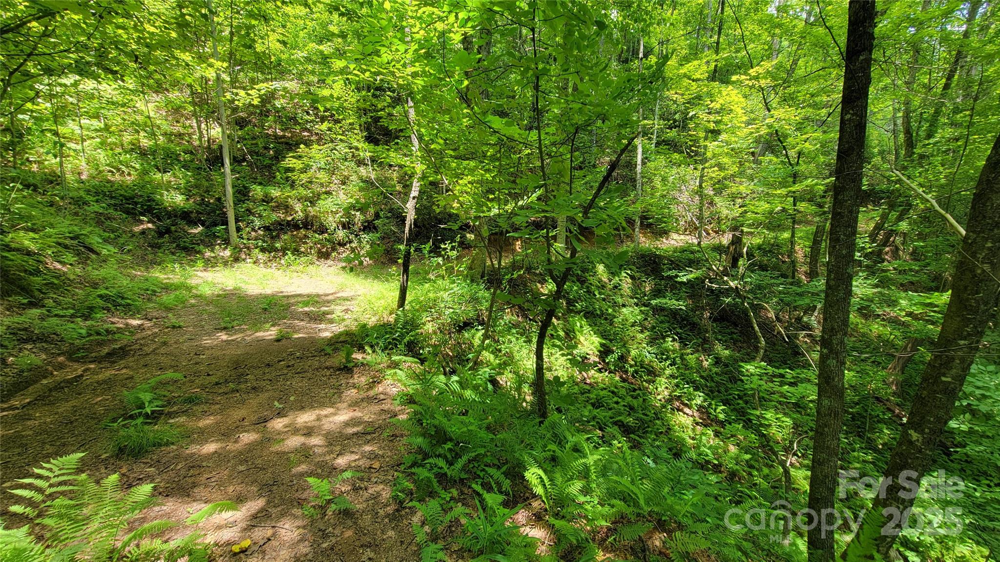Tbd Frozen Creek Road Brevard NC 28712