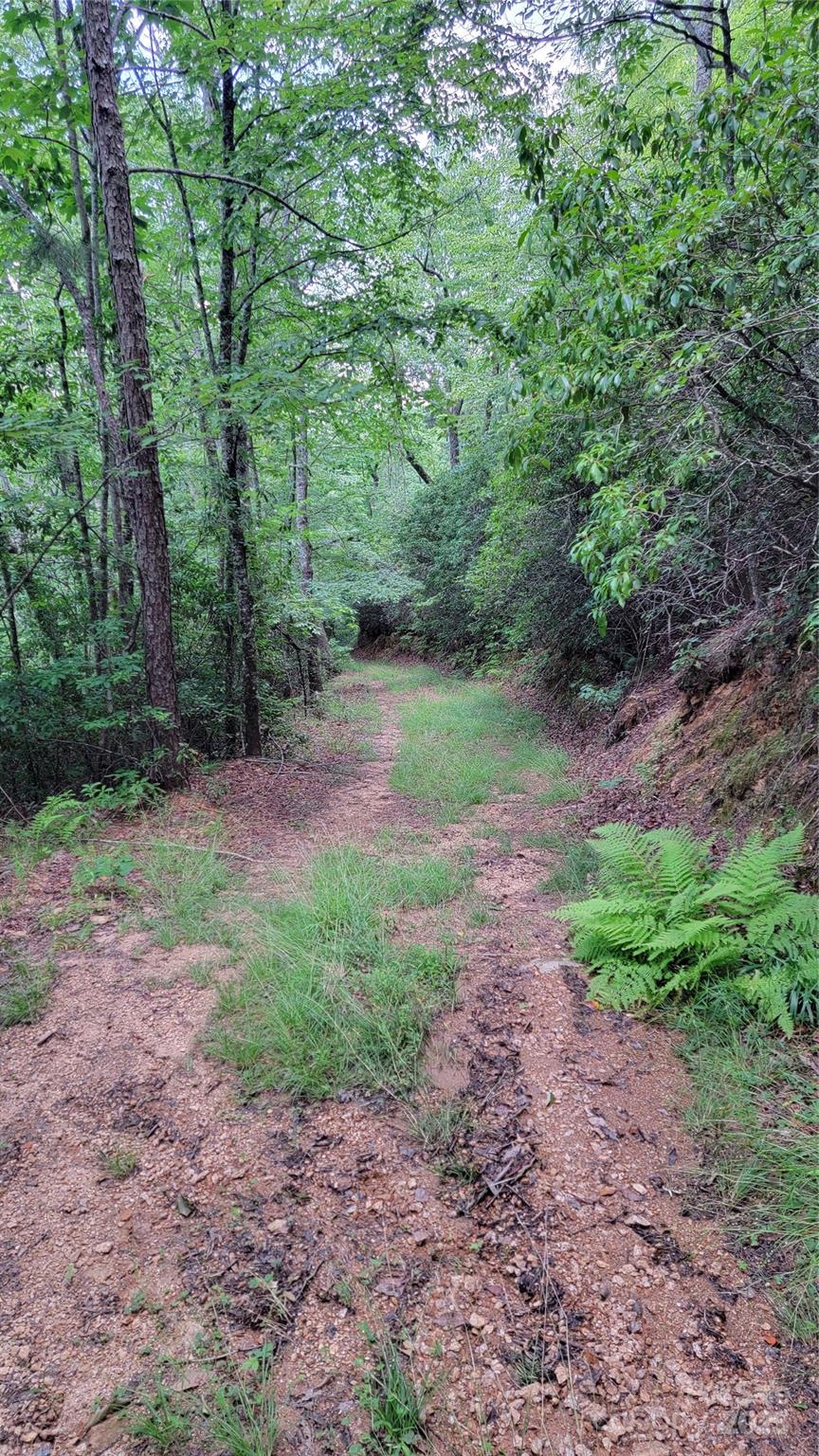 Tbd Frozen Creek Road Brevard NC 28712
