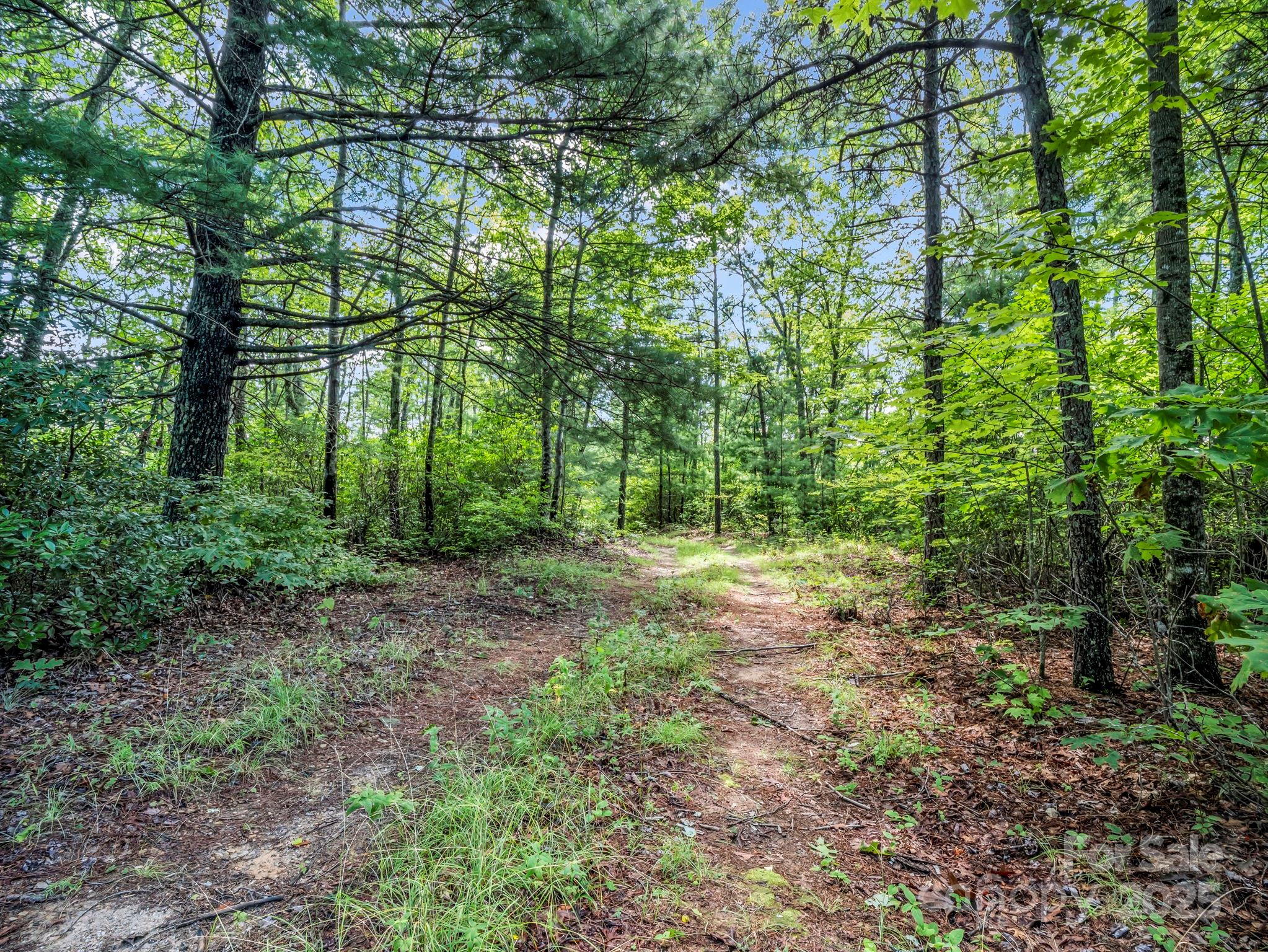 Tbd Frozen Creek Road Brevard NC 28712