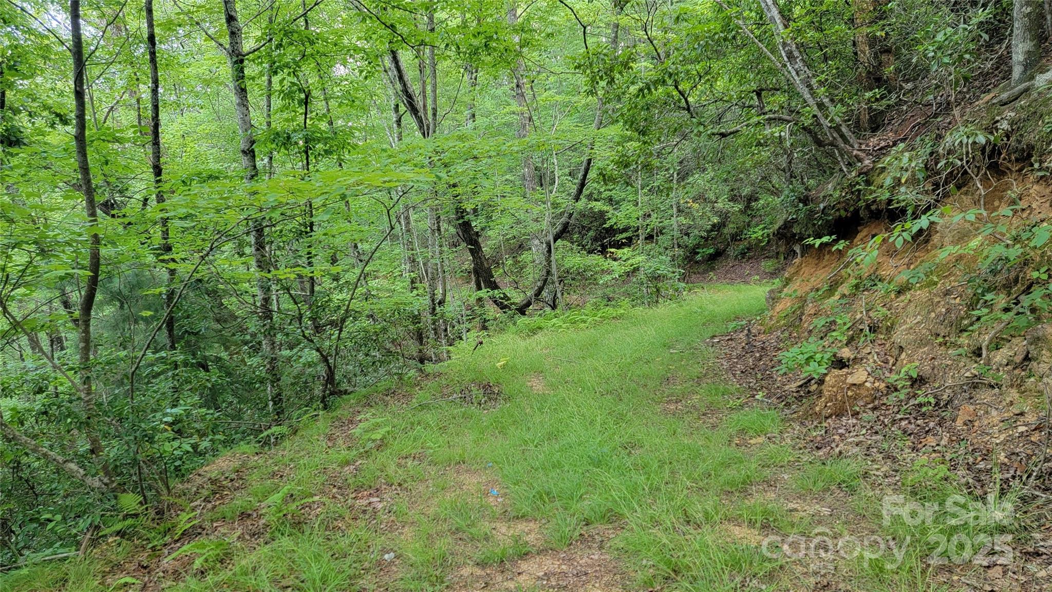 Tbd Frozen Creek Road Brevard NC 28712
