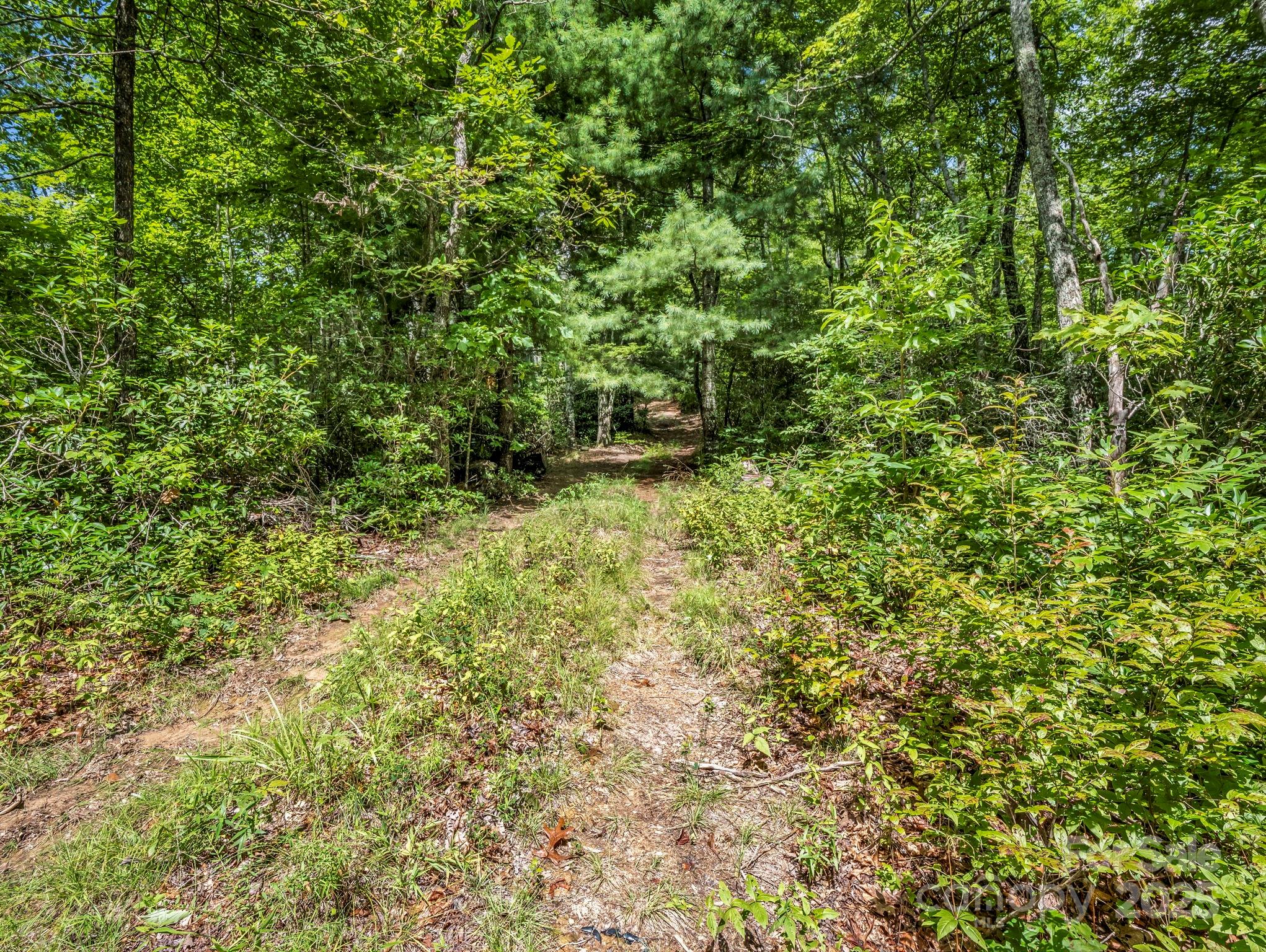 Tbd Frozen Creek Road Brevard NC 28712