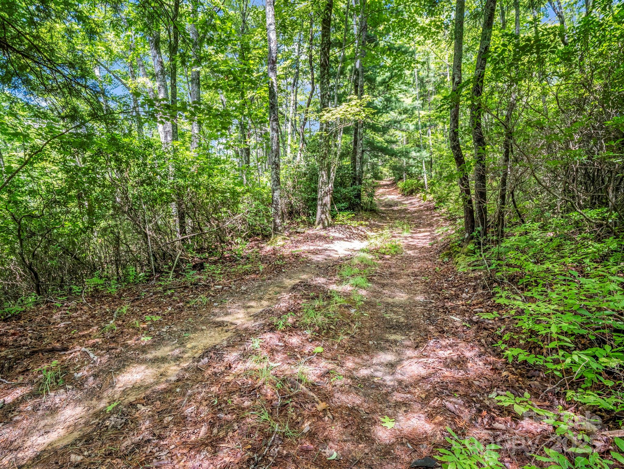 Tbd Frozen Creek Road Brevard NC 28712