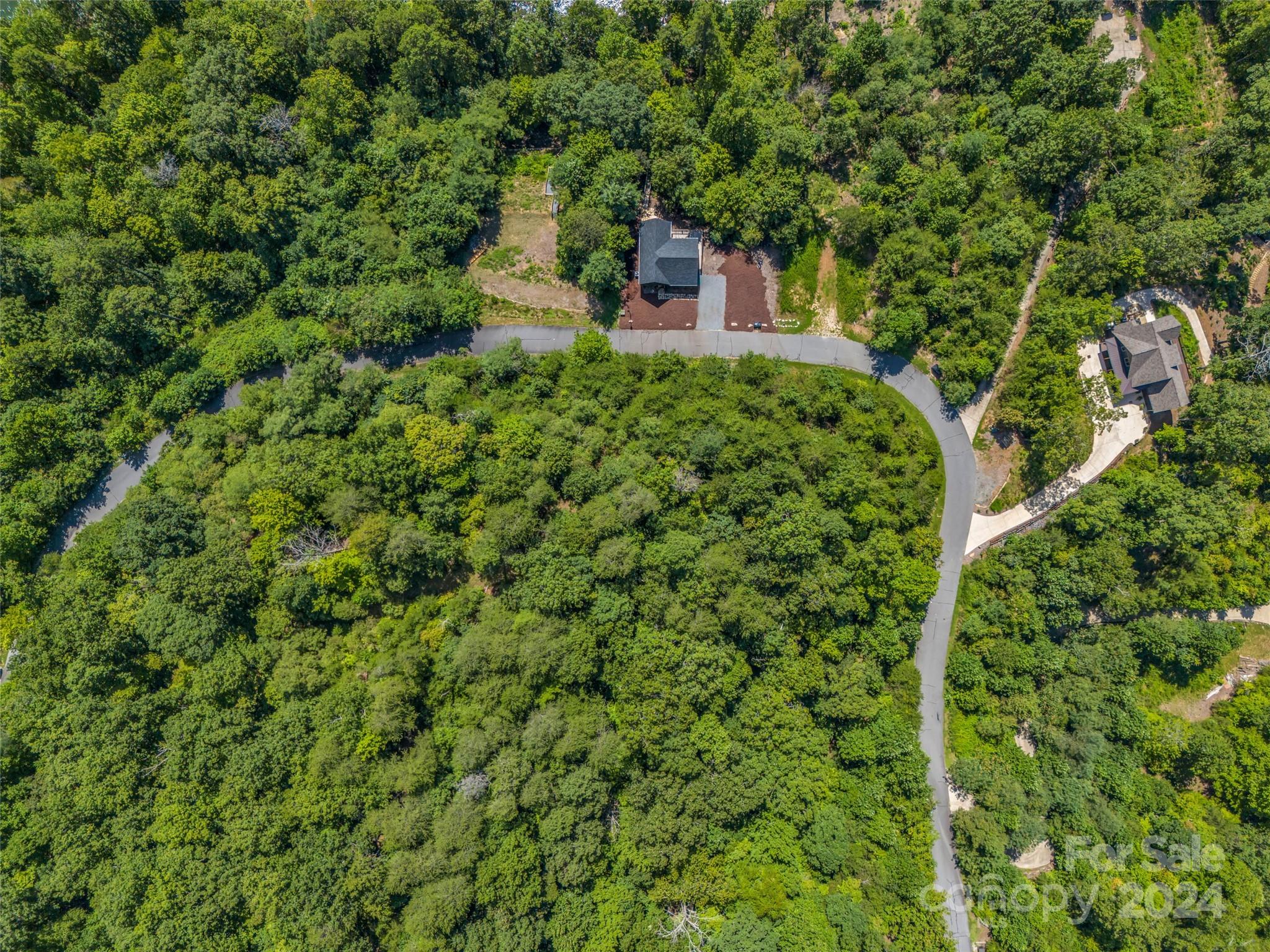 0 Holmstead Drive Lake Lure NC 28746