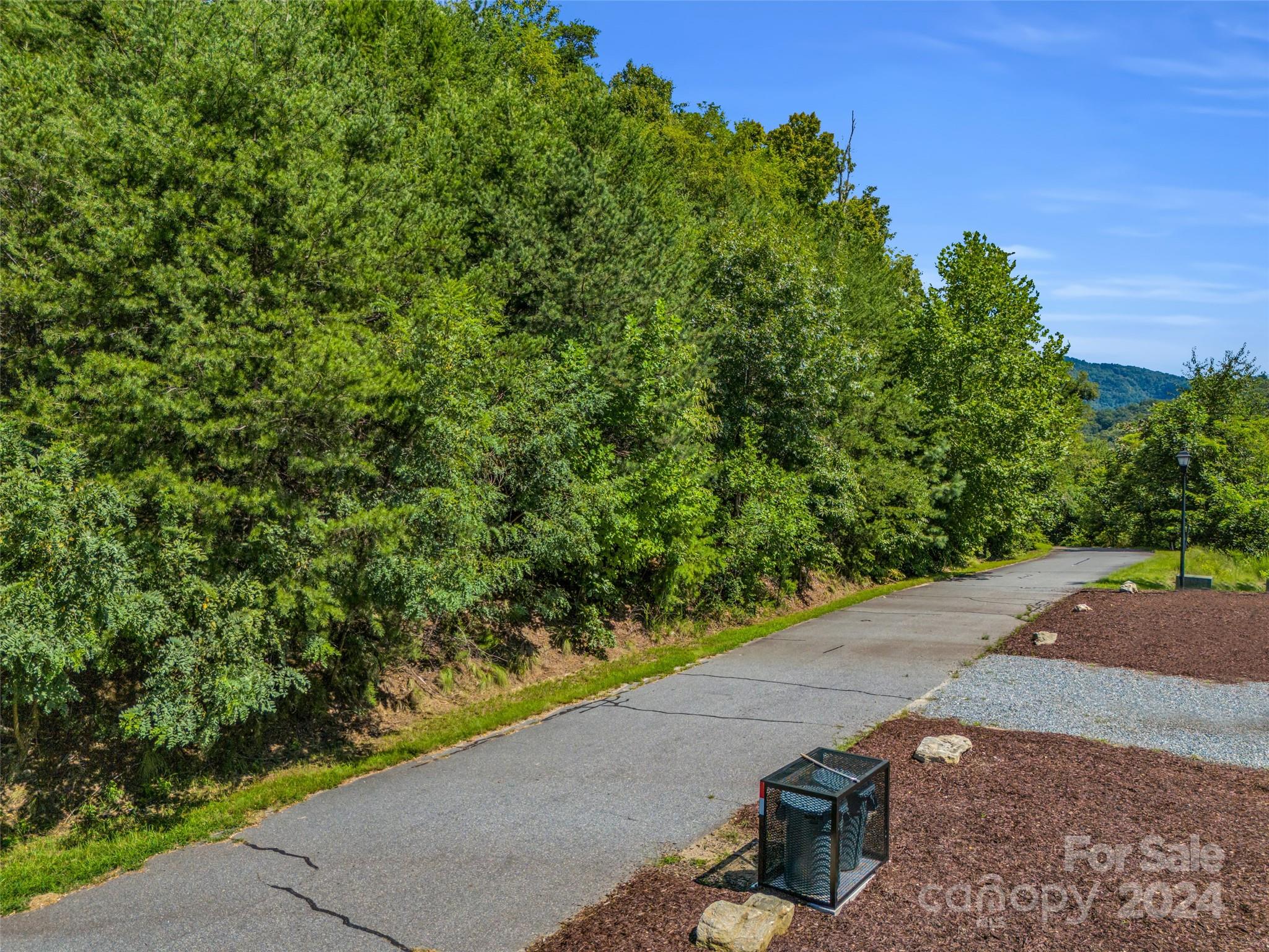 0 Holmstead Drive Lake Lure NC 28746
