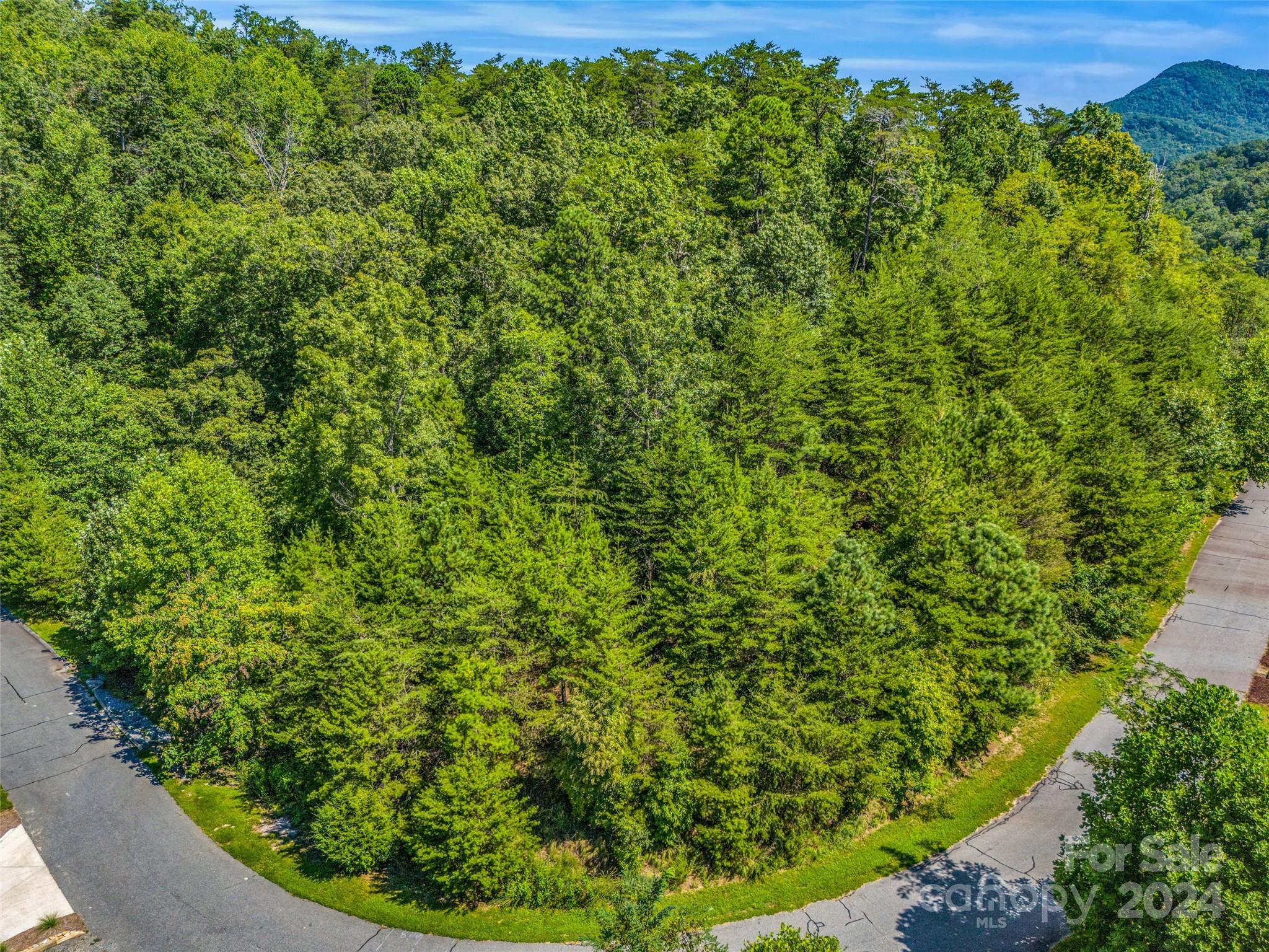 0 Holmstead Drive Lake Lure NC 28746