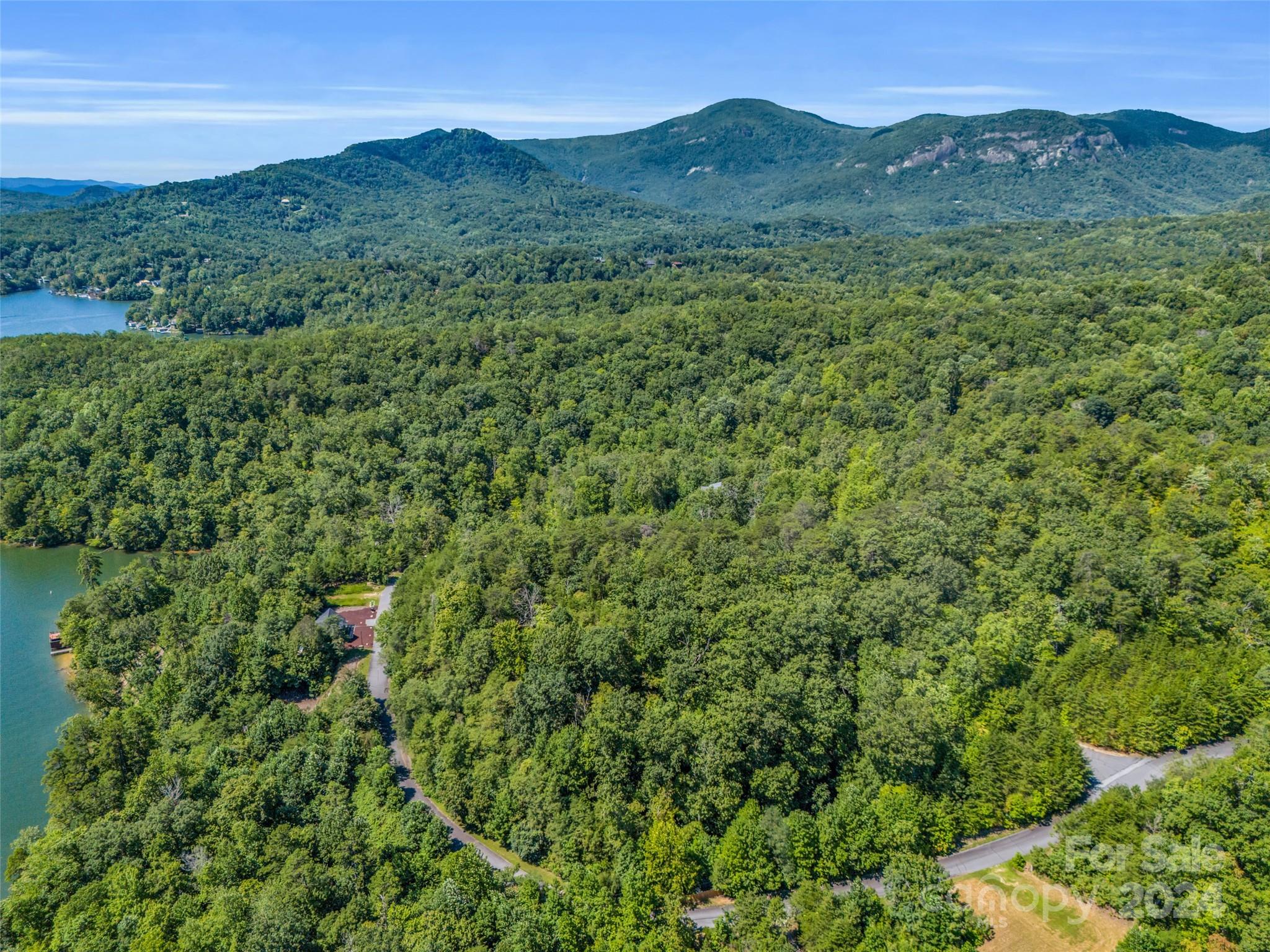 0 Holmstead Drive Lake Lure NC 28746