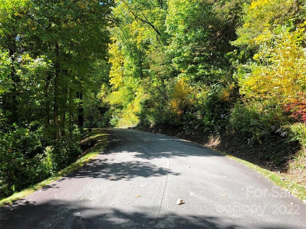 30 Cadillac Pointe Waynesville NC 28785