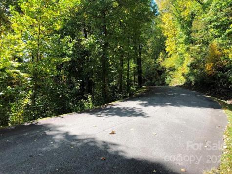 30 Cadillac Pointe Waynesville NC 28785