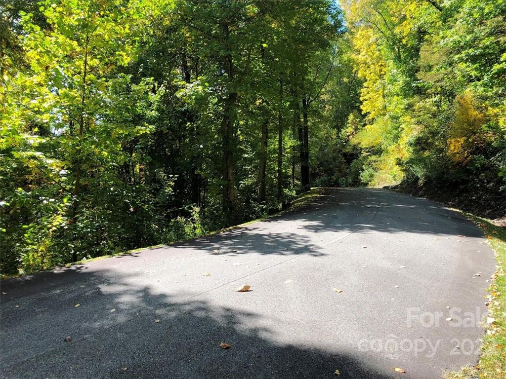 30 Cadillac Pointe Waynesville NC 28785