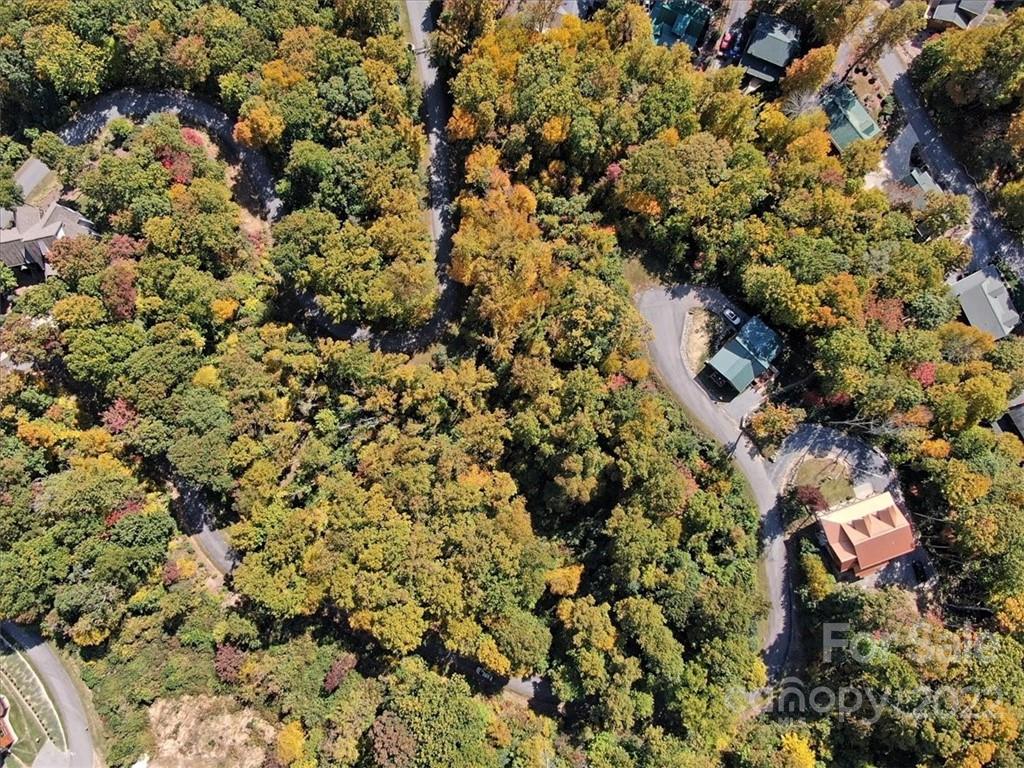 30 Cadillac Pointe Waynesville NC 28785