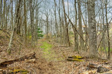 252 Pinewood Circle Hendersonville NC 28739