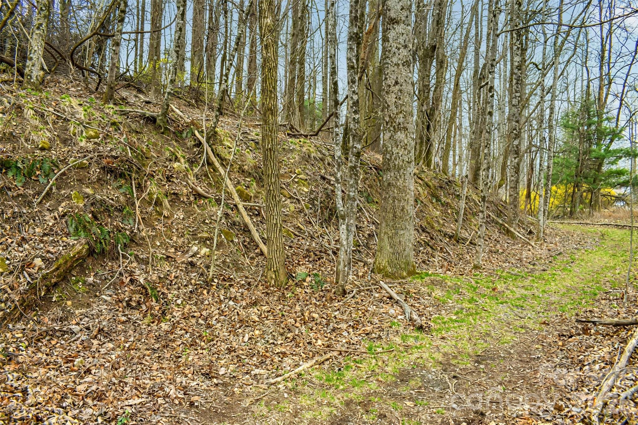 252 Pinewood Circle Hendersonville NC 28739