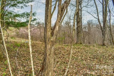 252 Pinewood Circle Hendersonville NC 28739