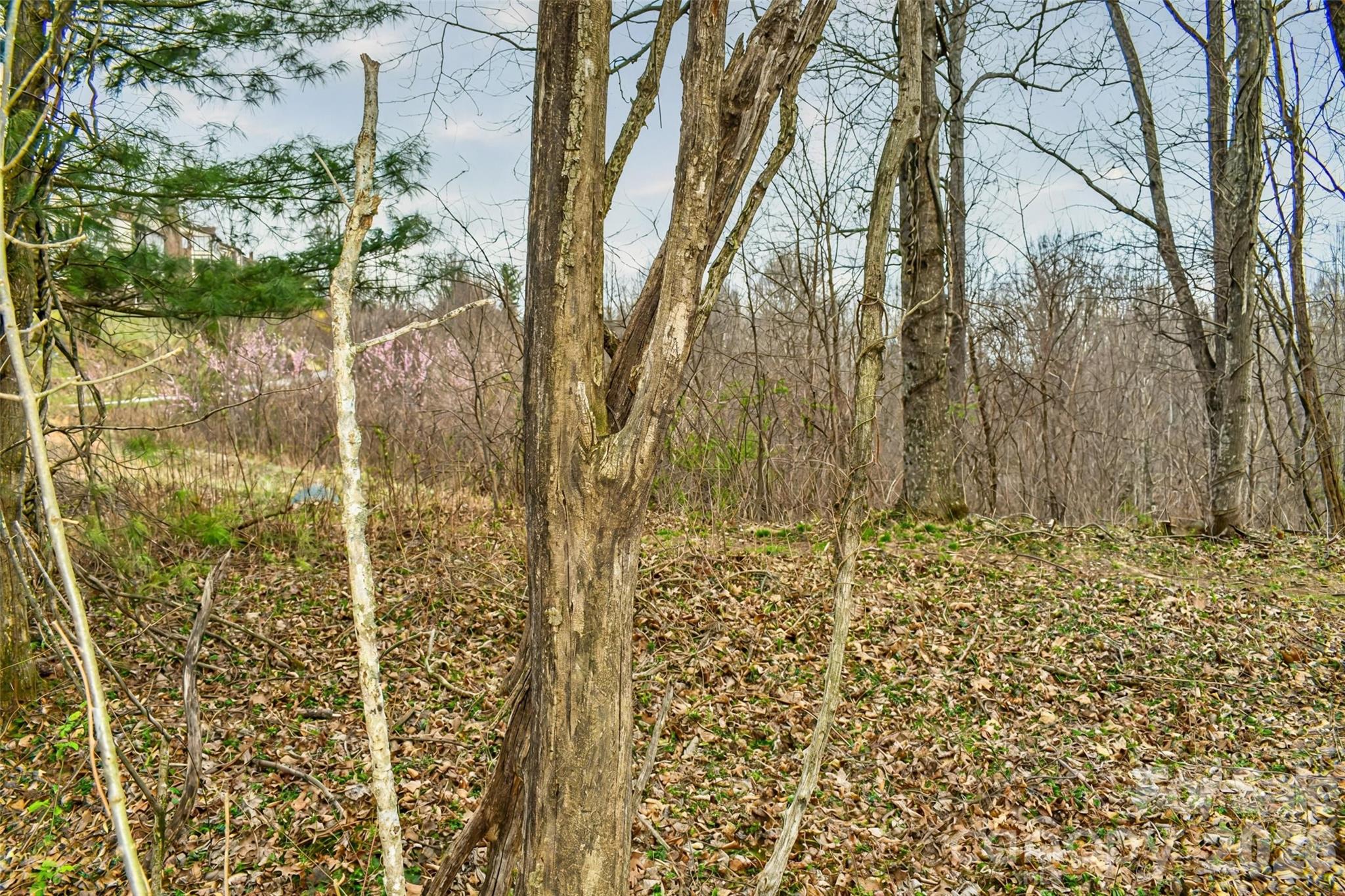 252 Pinewood Circle Hendersonville NC 28739