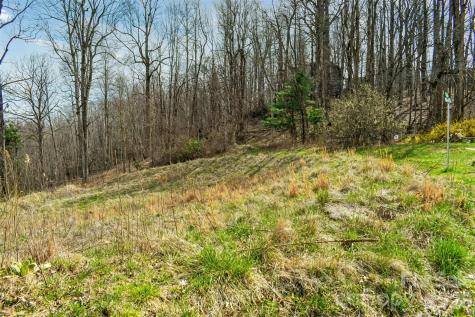 252 Pinewood Circle Hendersonville NC 28739