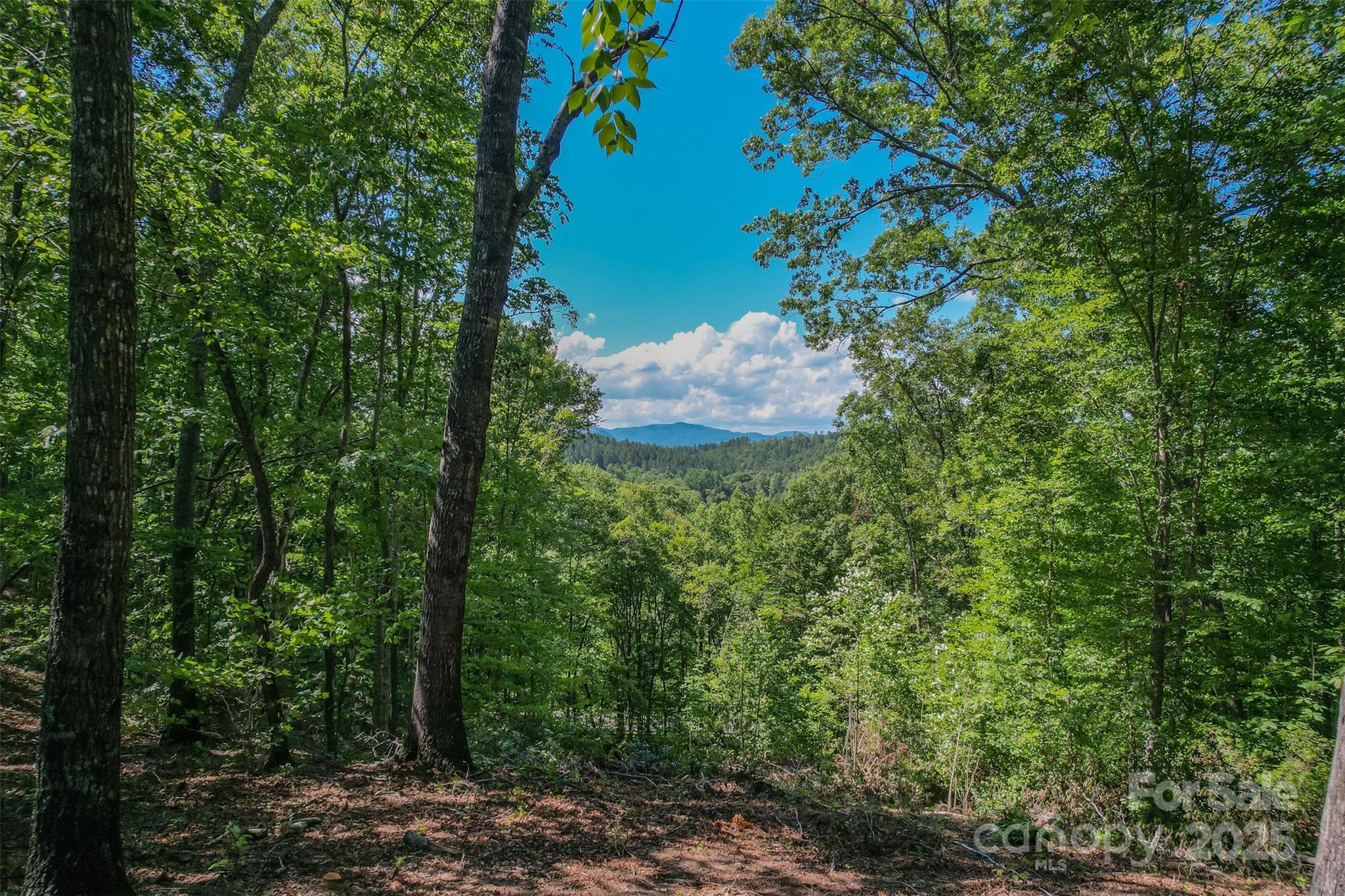 Lot 6 S Cross Creek Trail Mill Spring NC 28756