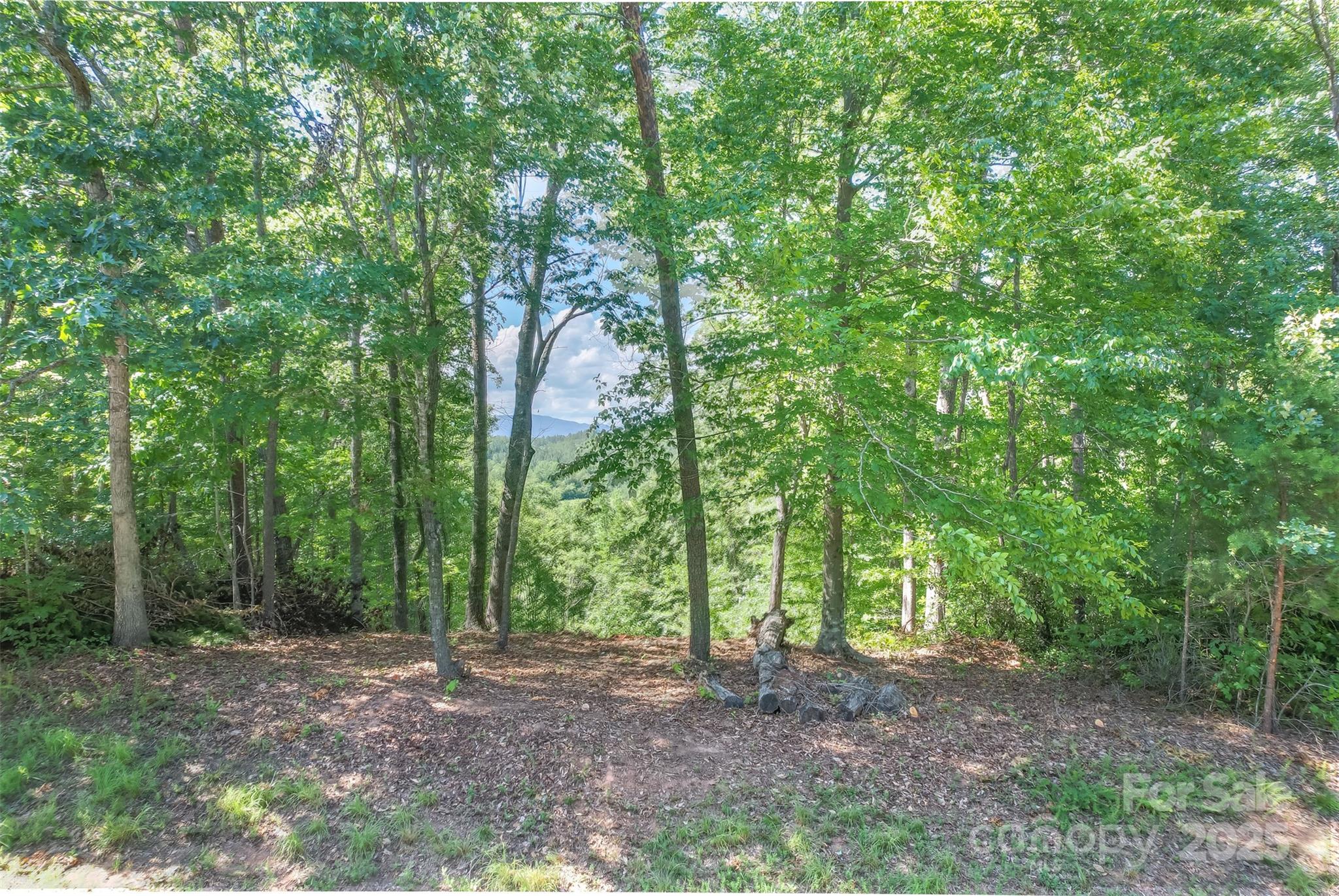 Lot 6 S Cross Creek Trail Mill Spring NC 28756