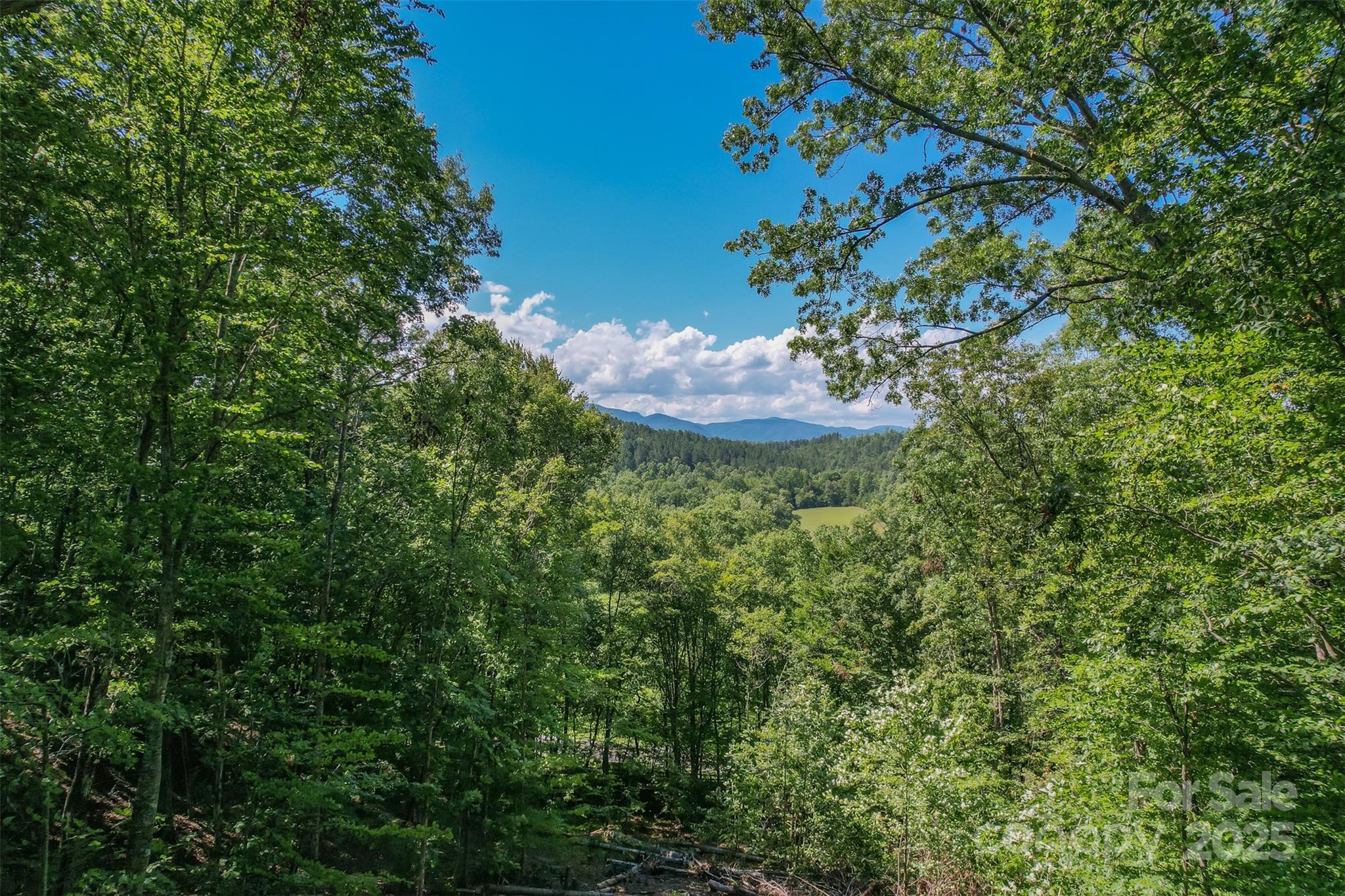 Lot 6 S Cross Creek Trail Mill Spring NC 28756