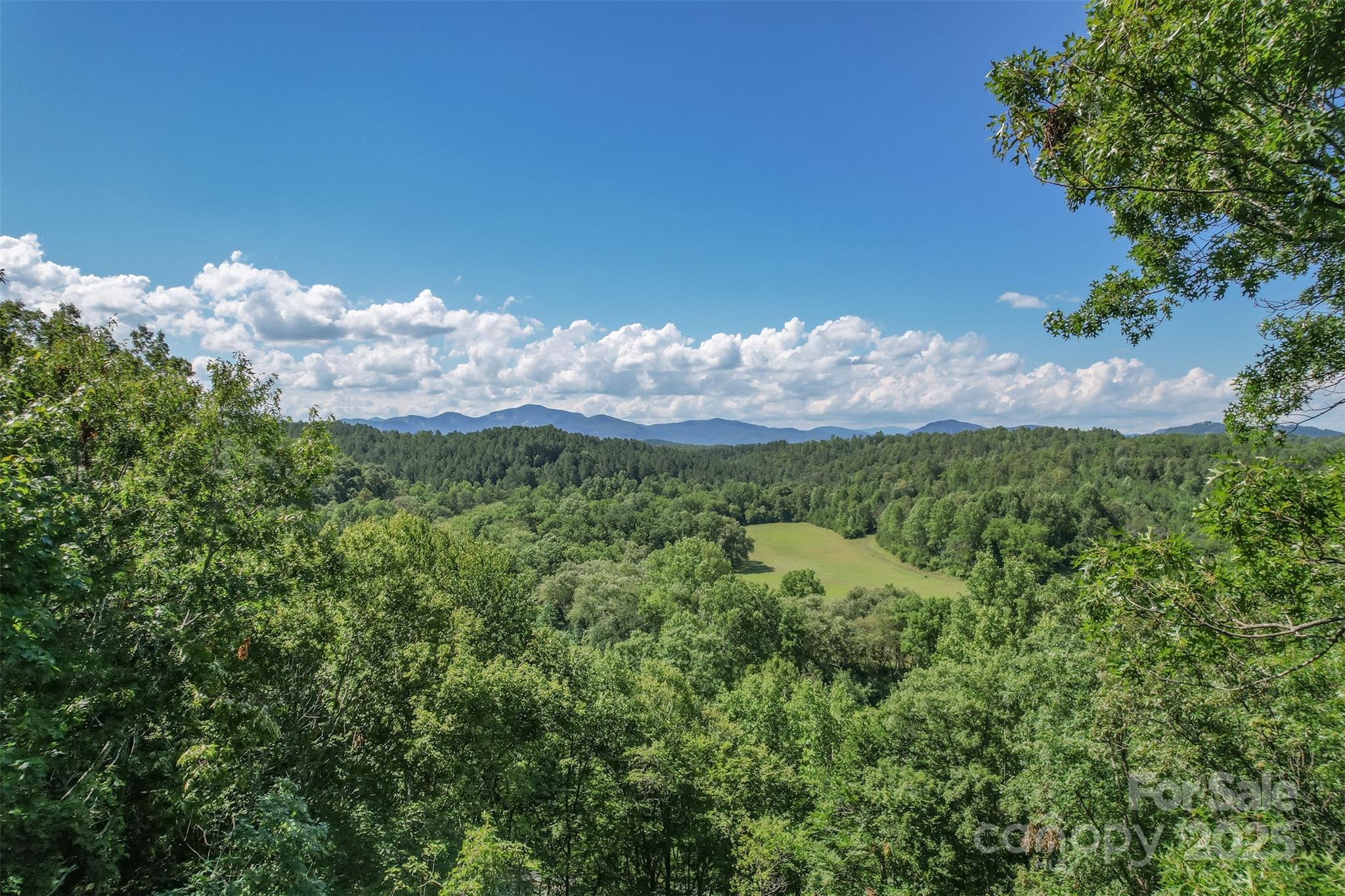 Lot 6 S Cross Creek Trail Mill Spring NC 28756