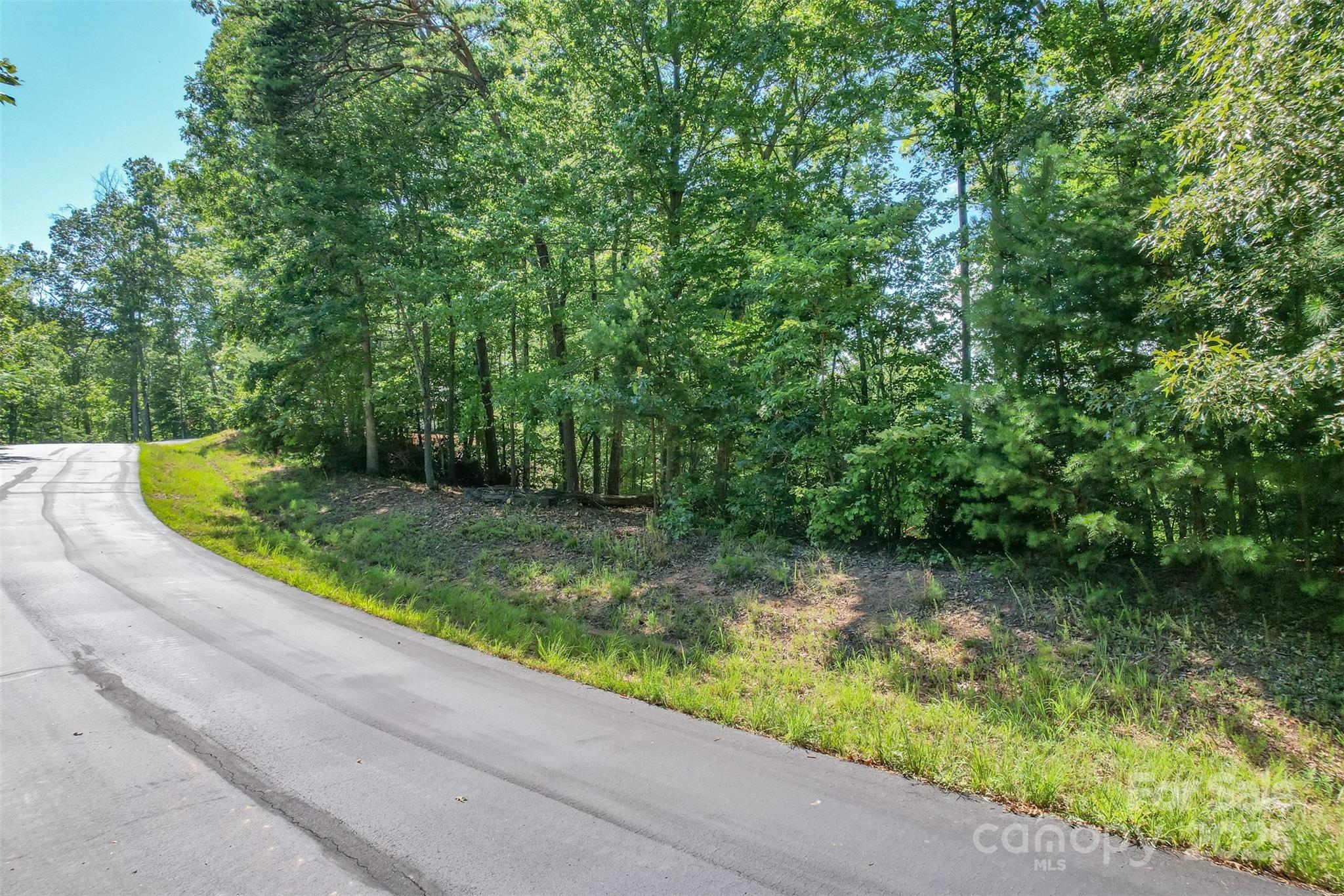 Lot 6 S Cross Creek Trail Mill Spring NC 28756