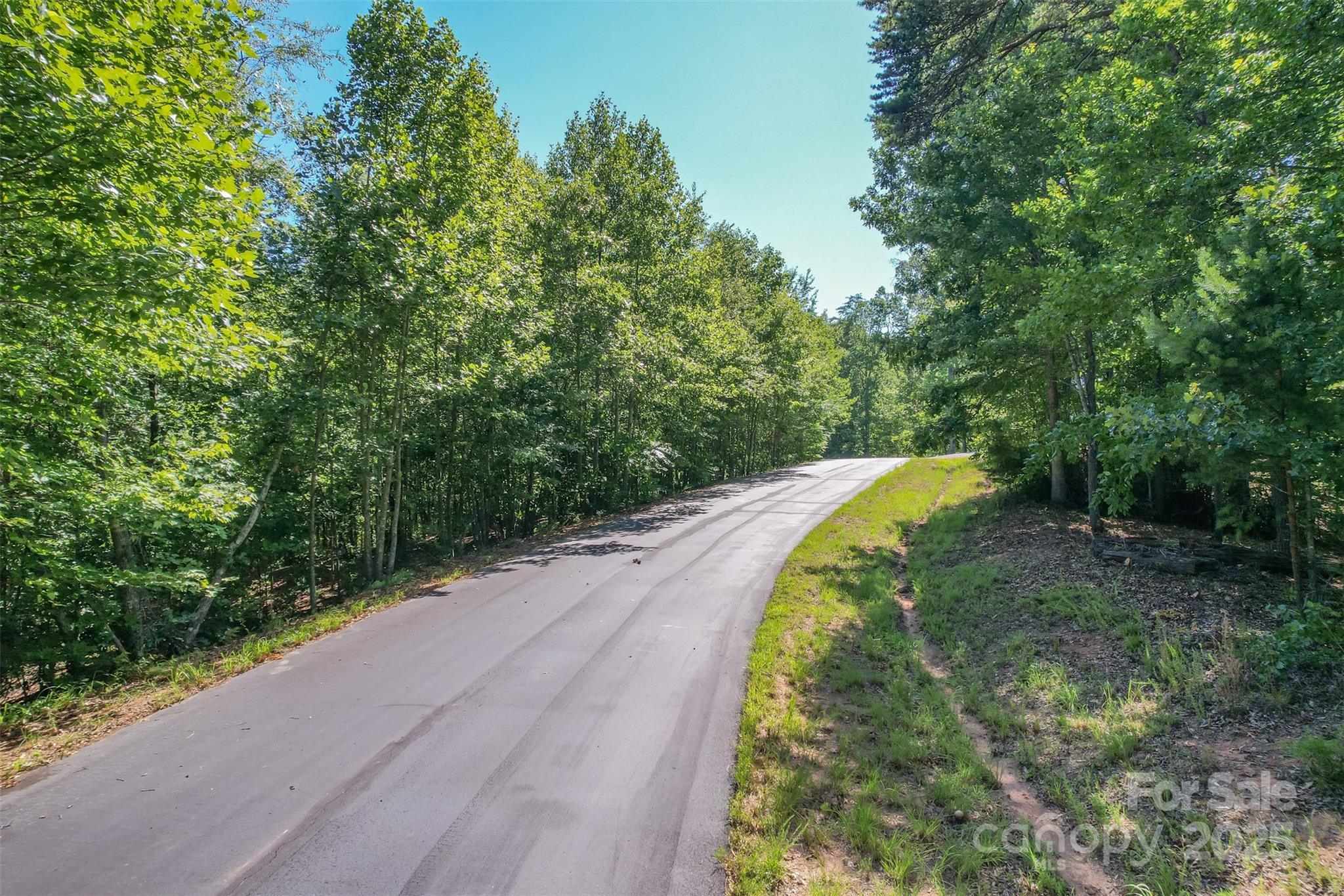 Lot 6 S Cross Creek Trail Mill Spring NC 28756