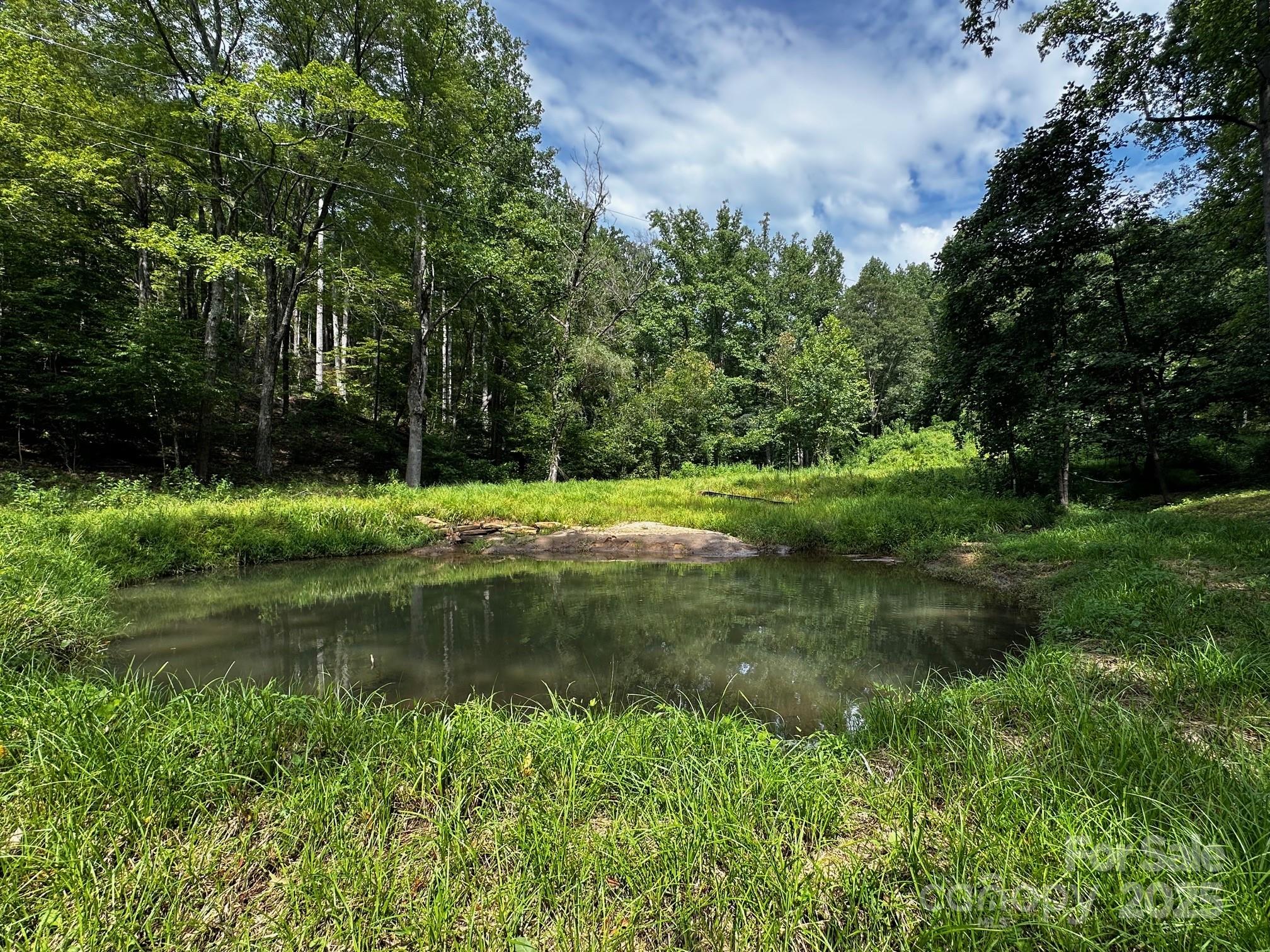 9999 Rock Ledge Drive Lake Lure NC 28746
