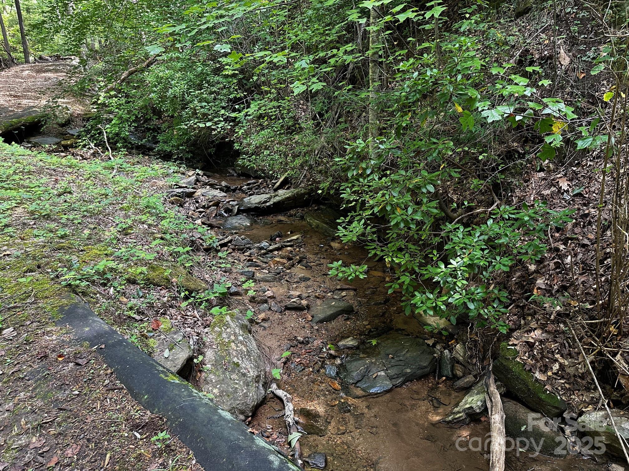9999 Rock Ledge Drive Lake Lure NC 28746