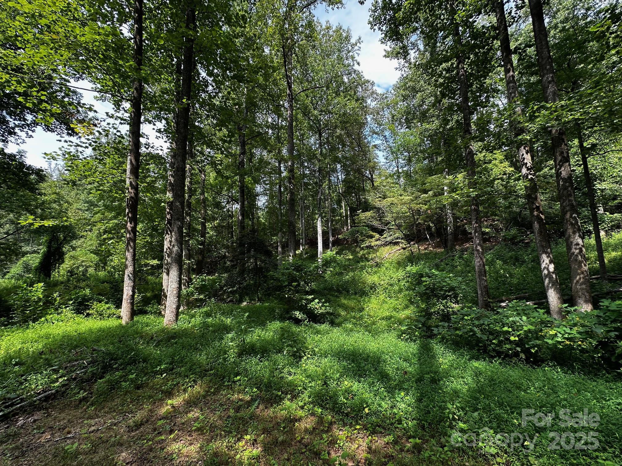 9999 Rock Ledge Drive Lake Lure NC 28746