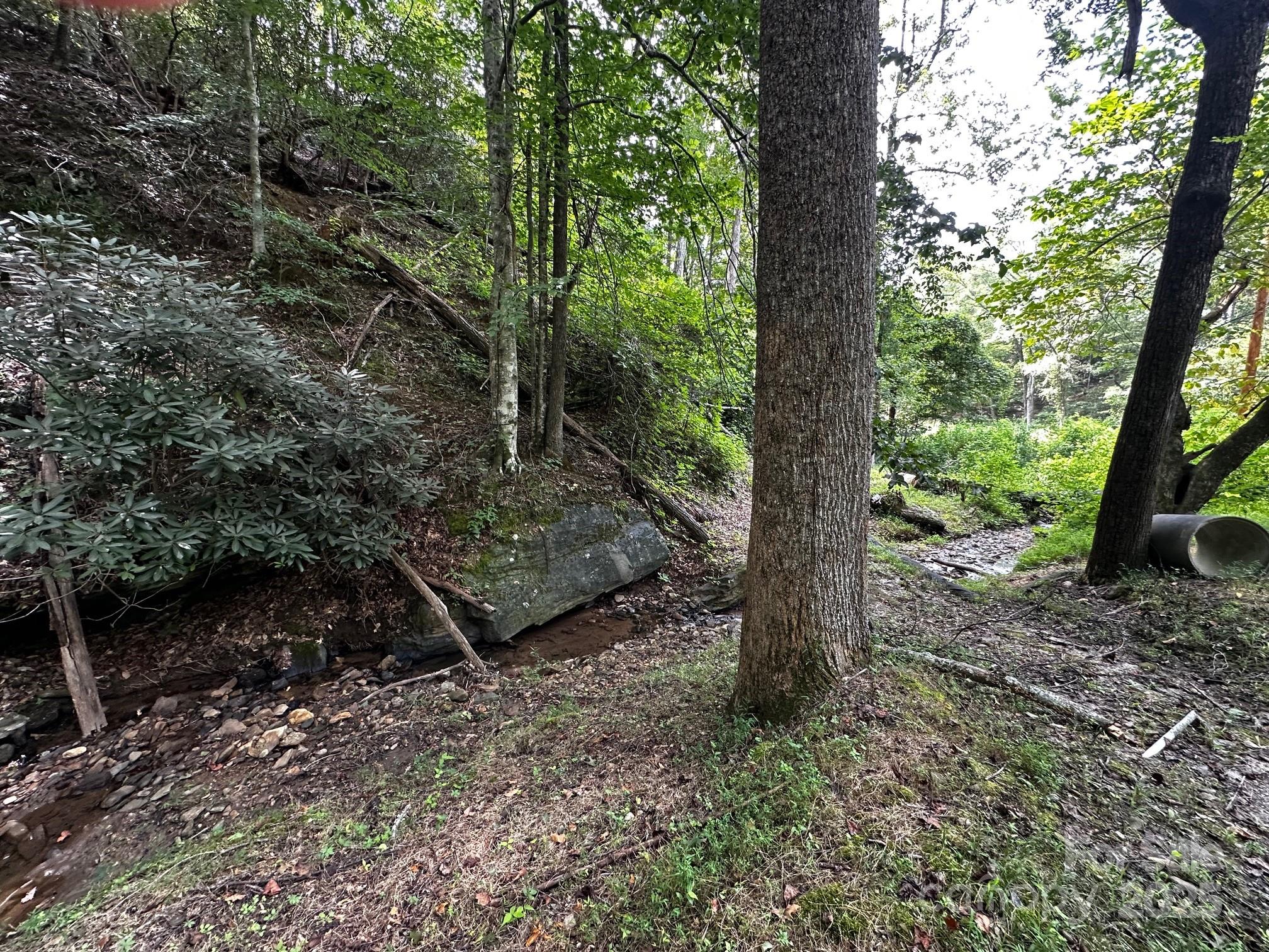 9999 Rock Ledge Drive Lake Lure NC 28746