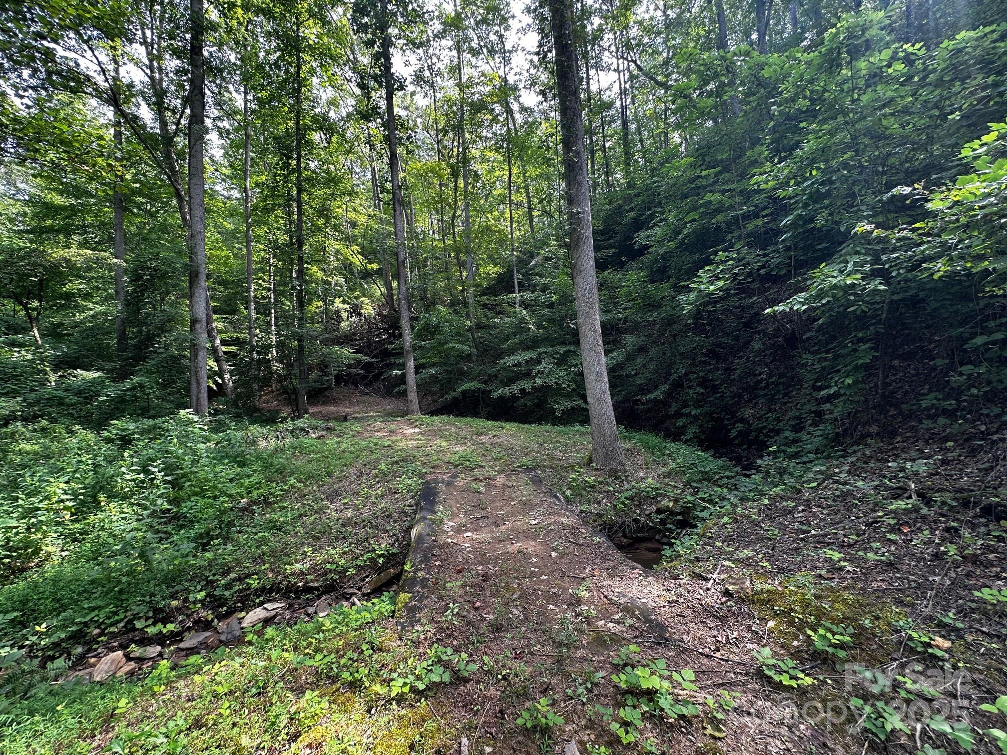 9999 Rock Ledge Drive Lake Lure NC 28746