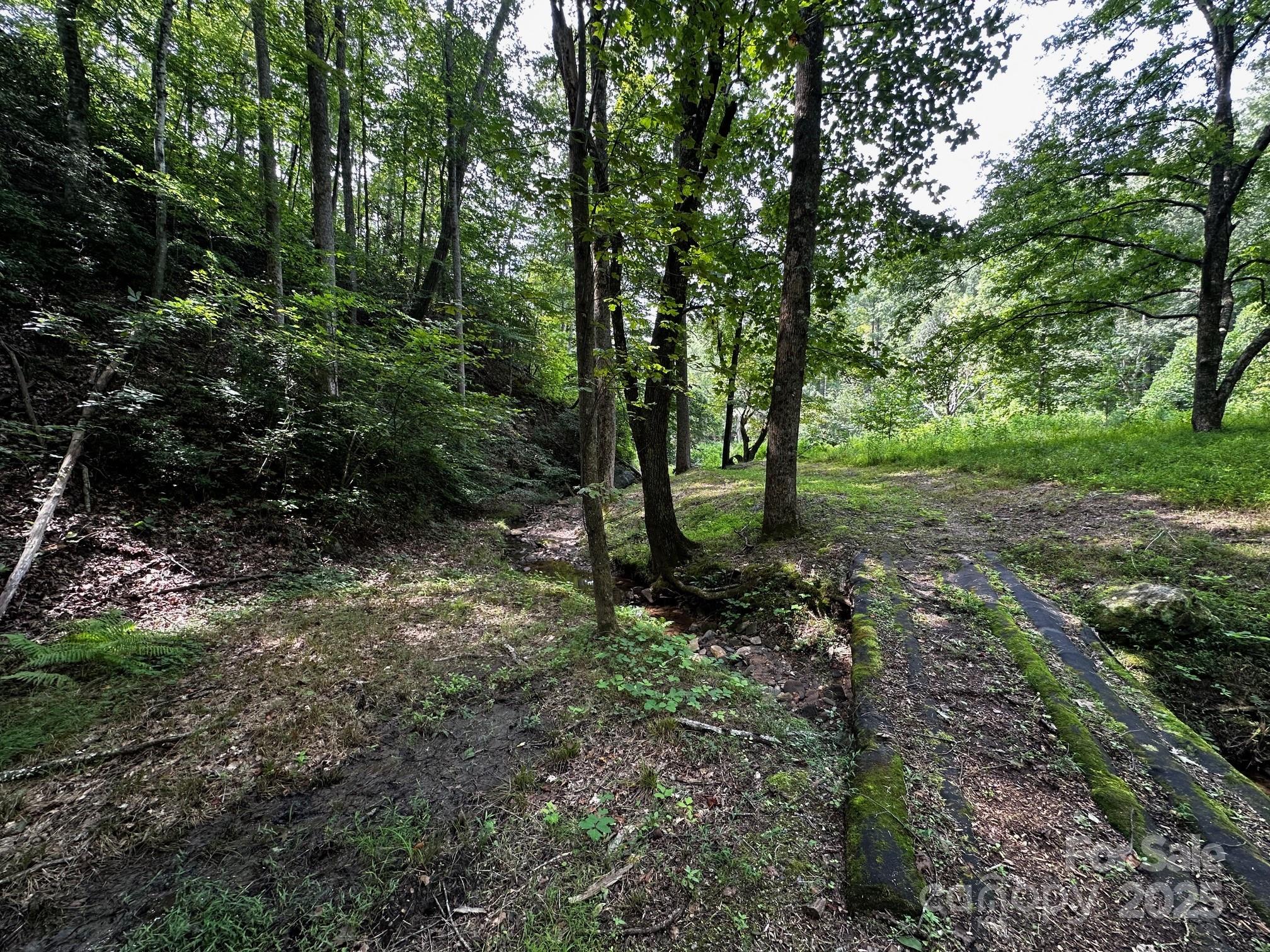 9999 Rock Ledge Drive Lake Lure NC 28746