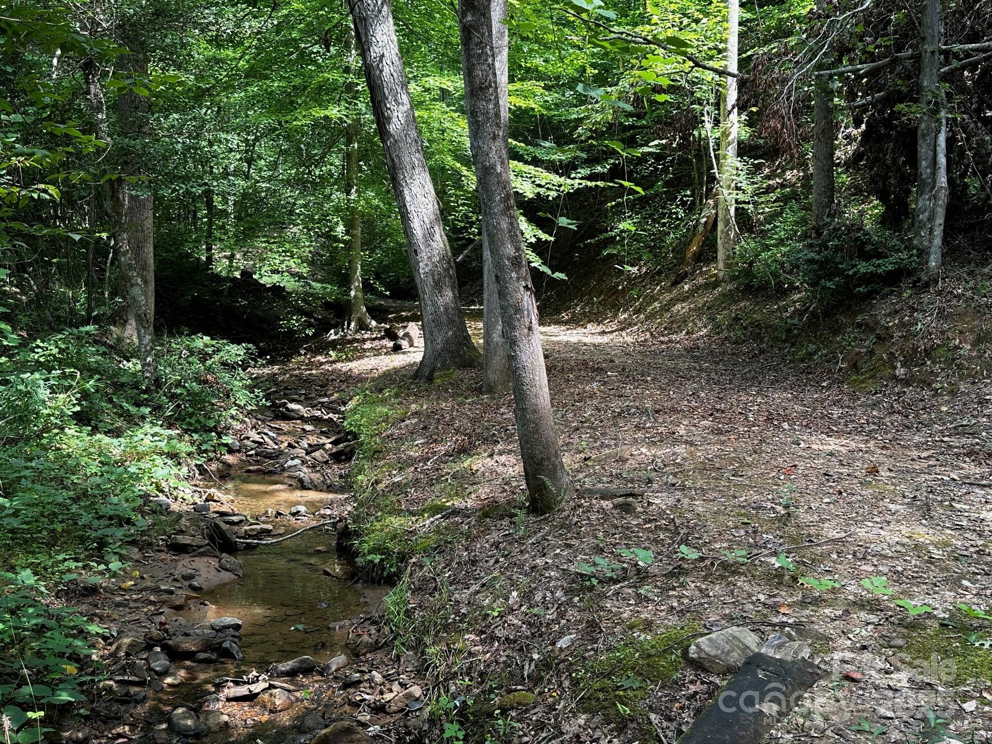 9999 Rock Ledge Drive Lake Lure NC 28746