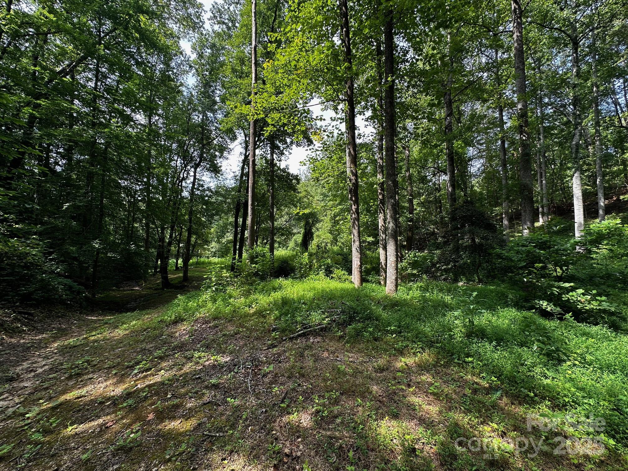 9999 Rock Ledge Drive Lake Lure NC 28746