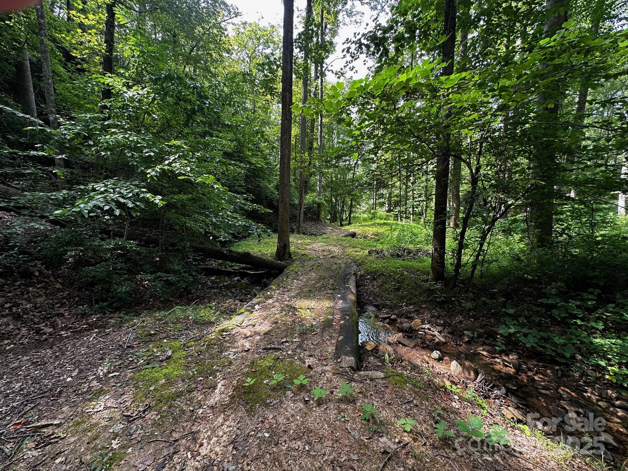 9999 Rock Ledge Drive Lake Lure NC 28746