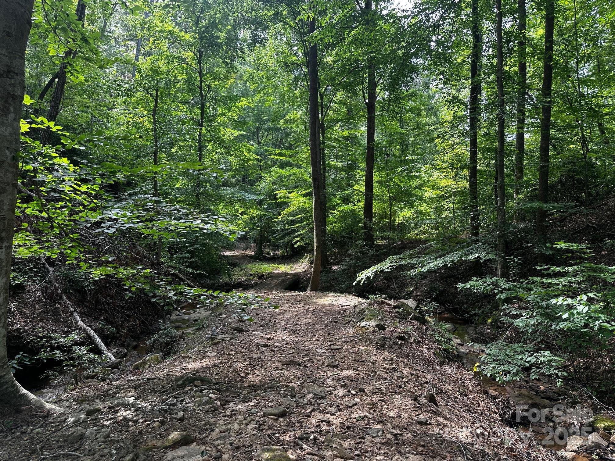 9999 Rock Ledge Drive Lake Lure NC 28746