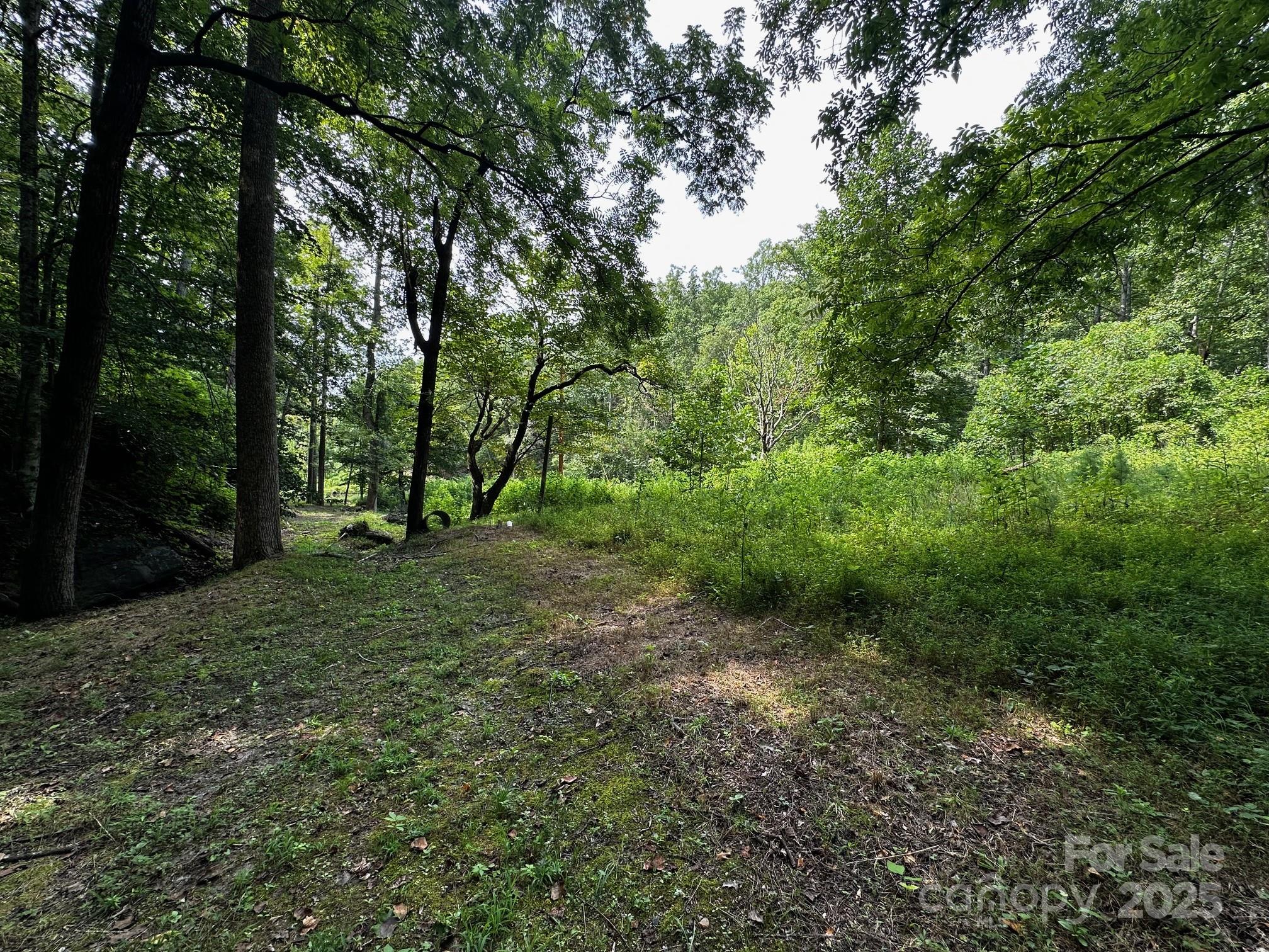 9999 Rock Ledge Drive Lake Lure NC 28746