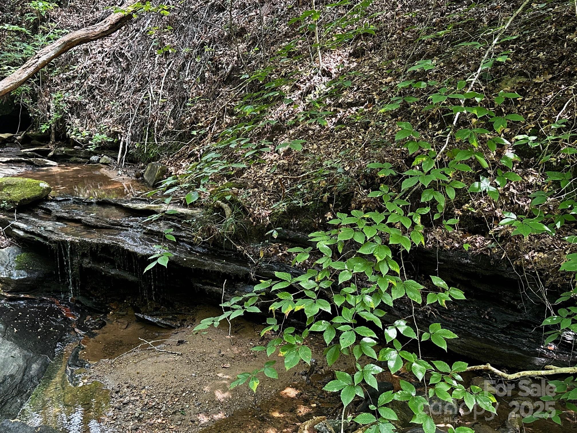 9999 Rock Ledge Drive Lake Lure NC 28746