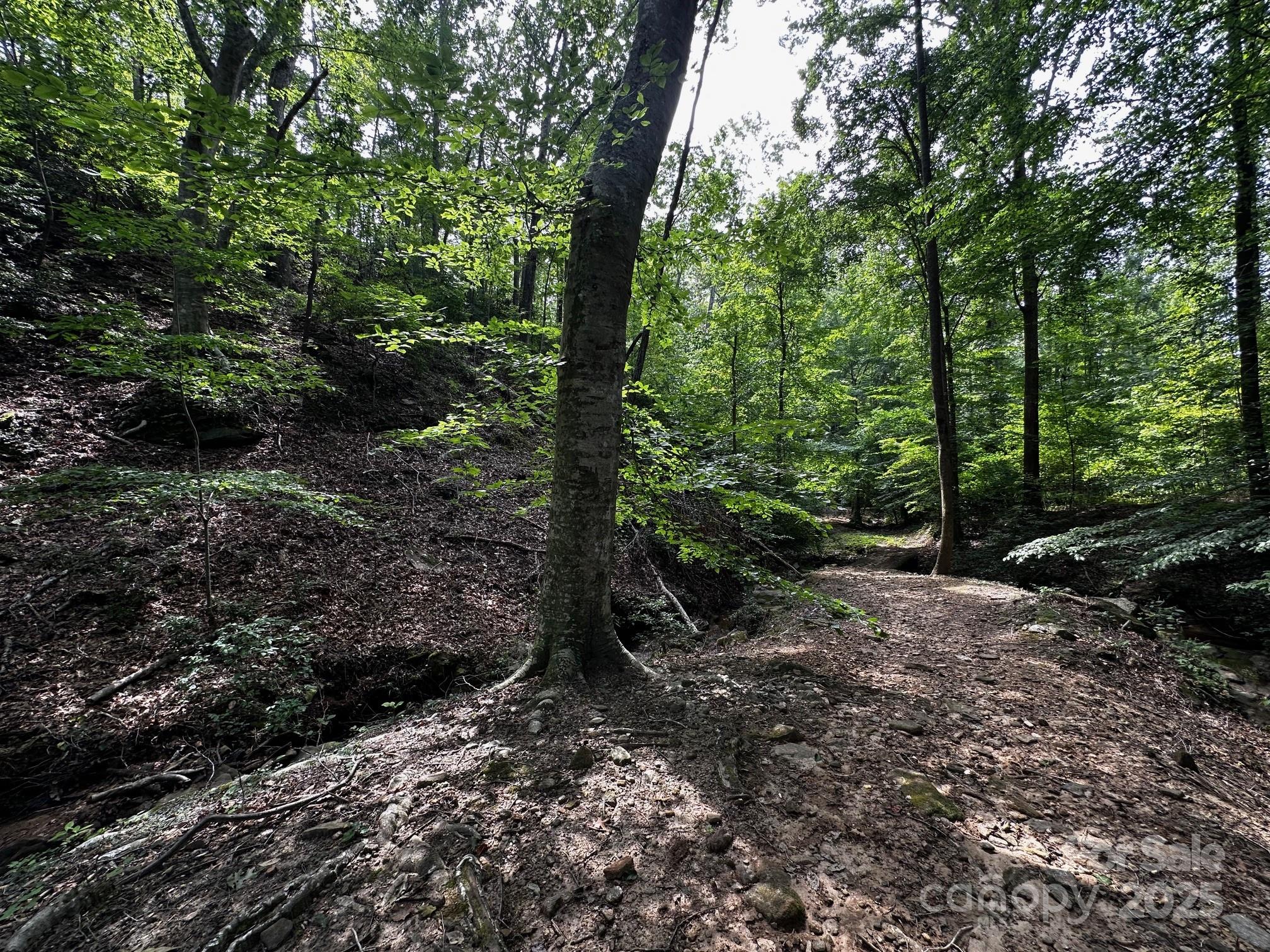 9999 Rock Ledge Drive Lake Lure NC 28746